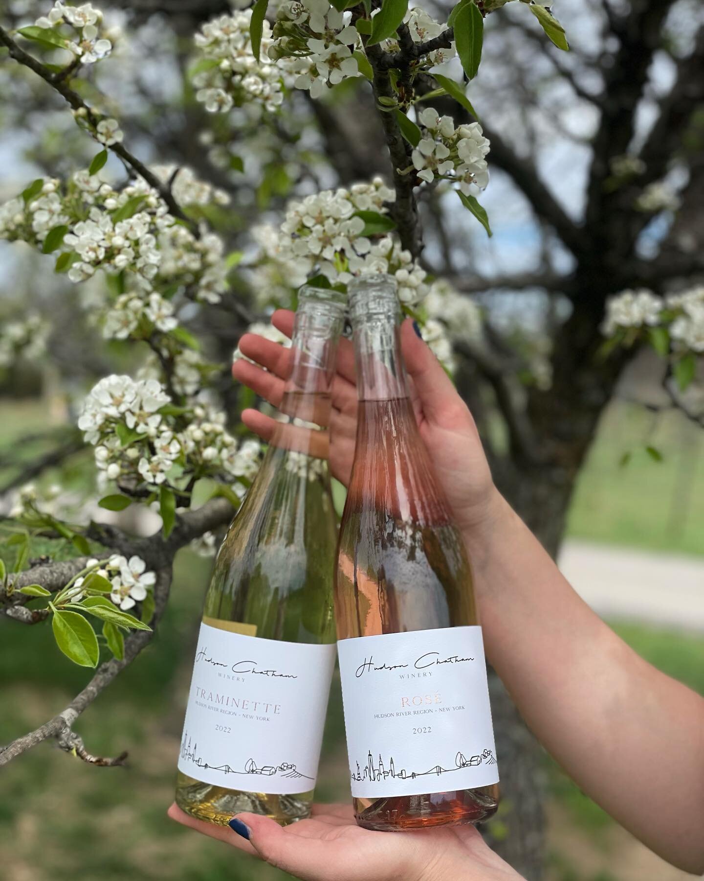 Spring is in full throttle and we are pouring these patio pounders to match!
&bull;
&bull;
&bull;
#drinklocal #supportlocal #nyswine #hudsonchathamwinery #hybridgrapes #upstateny #upstateandchill #farmchic #hudsonvalley #catskills #berkshires #tramin