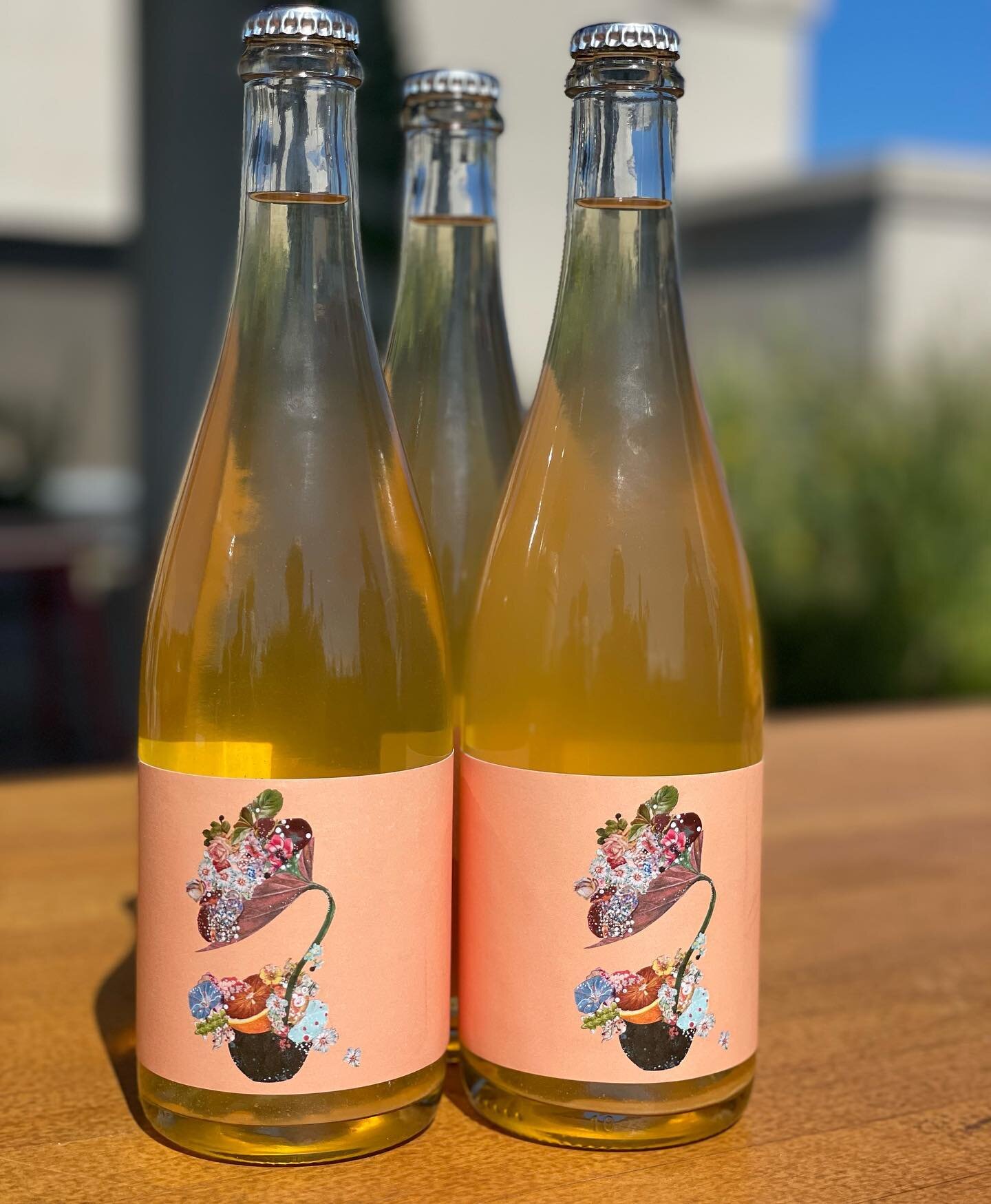 Our Co Ferment P&eacute;tillant Naturel is here and delicious! You can find us at the estate, Chatham Fest or Hudson Farmers Market this weekend!
&bull;
&bull;
&bull;
#drinklocal #supportlocal #chathamny #hudsonny #columbiacountyny #newyorkwines #nys