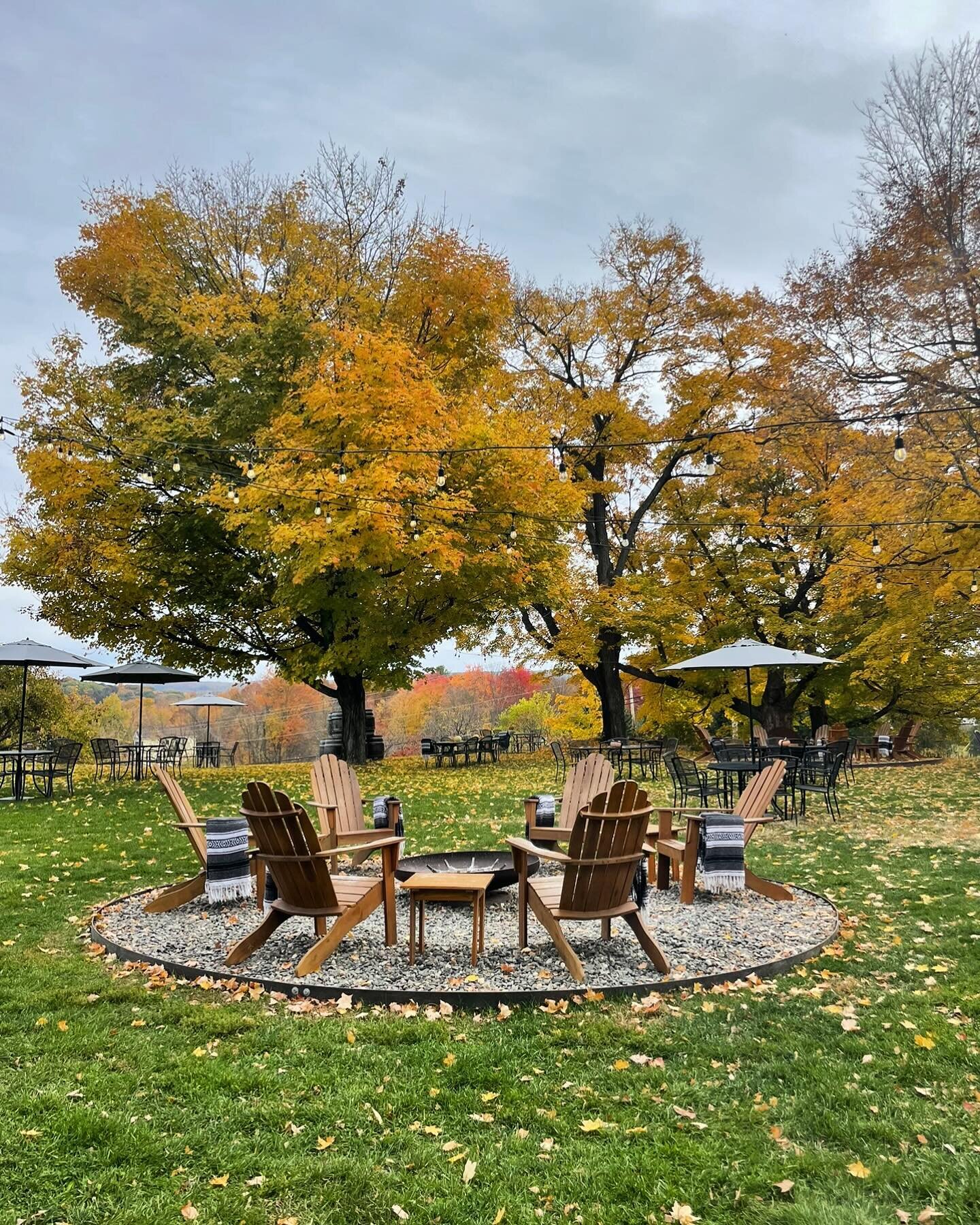 Autumnal bliss 🍁