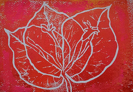 Red Bouginvellea