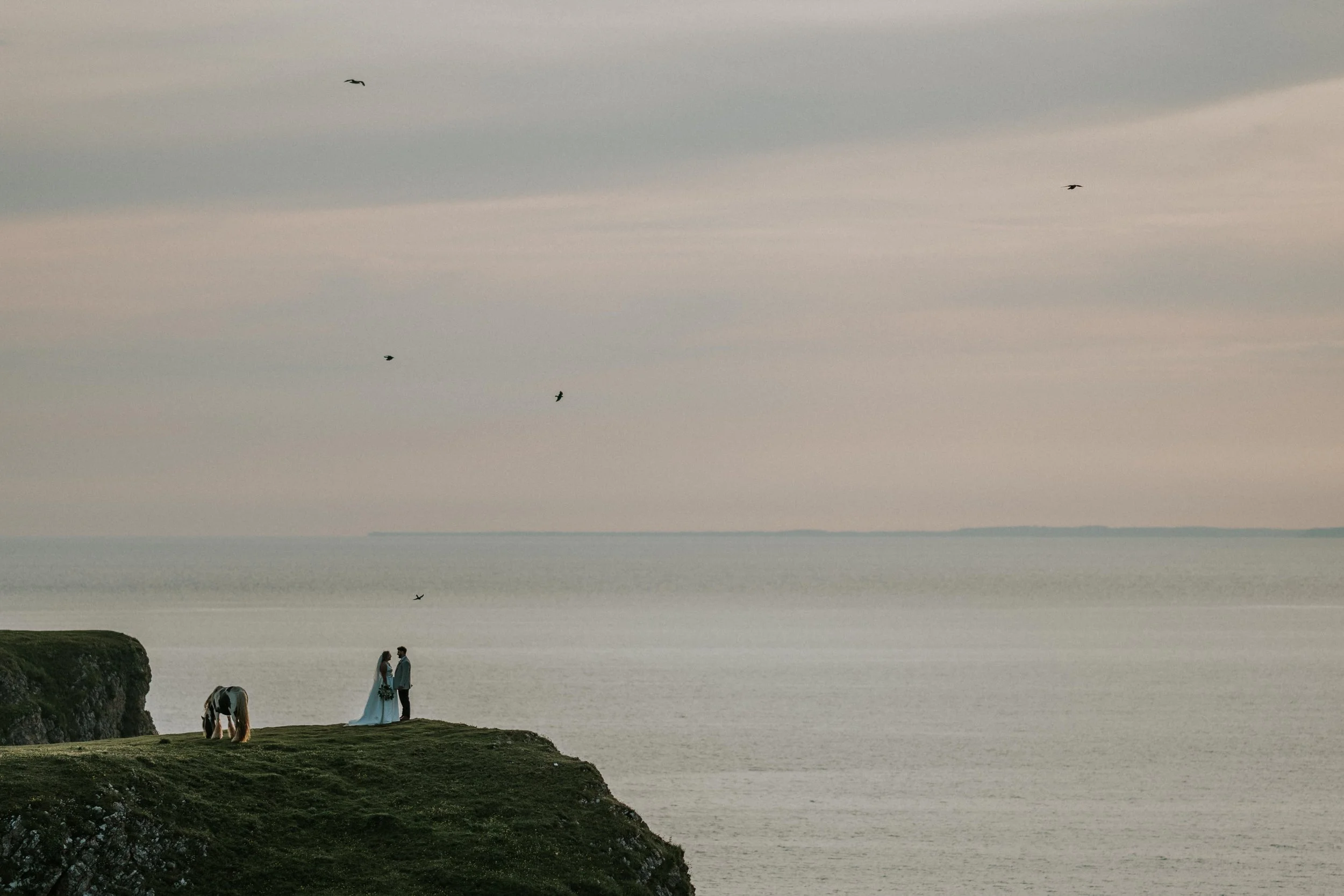 A couple in wedding attire standing on a grassy cliff overlooking the ocean at dusk, with a dog nearby and migrating birds flying in the cloudy sky.