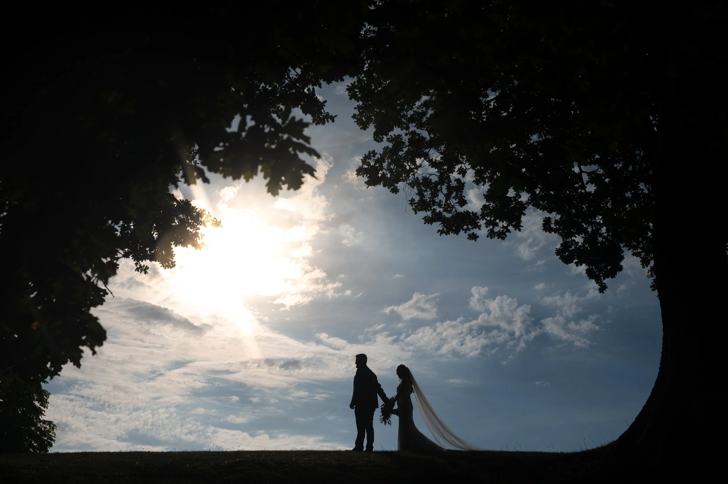 Silhouette of a couple holding hands, walking beneath a tree canopy with the sun shining through the leaves, creating a romantic and serene atmosphere.