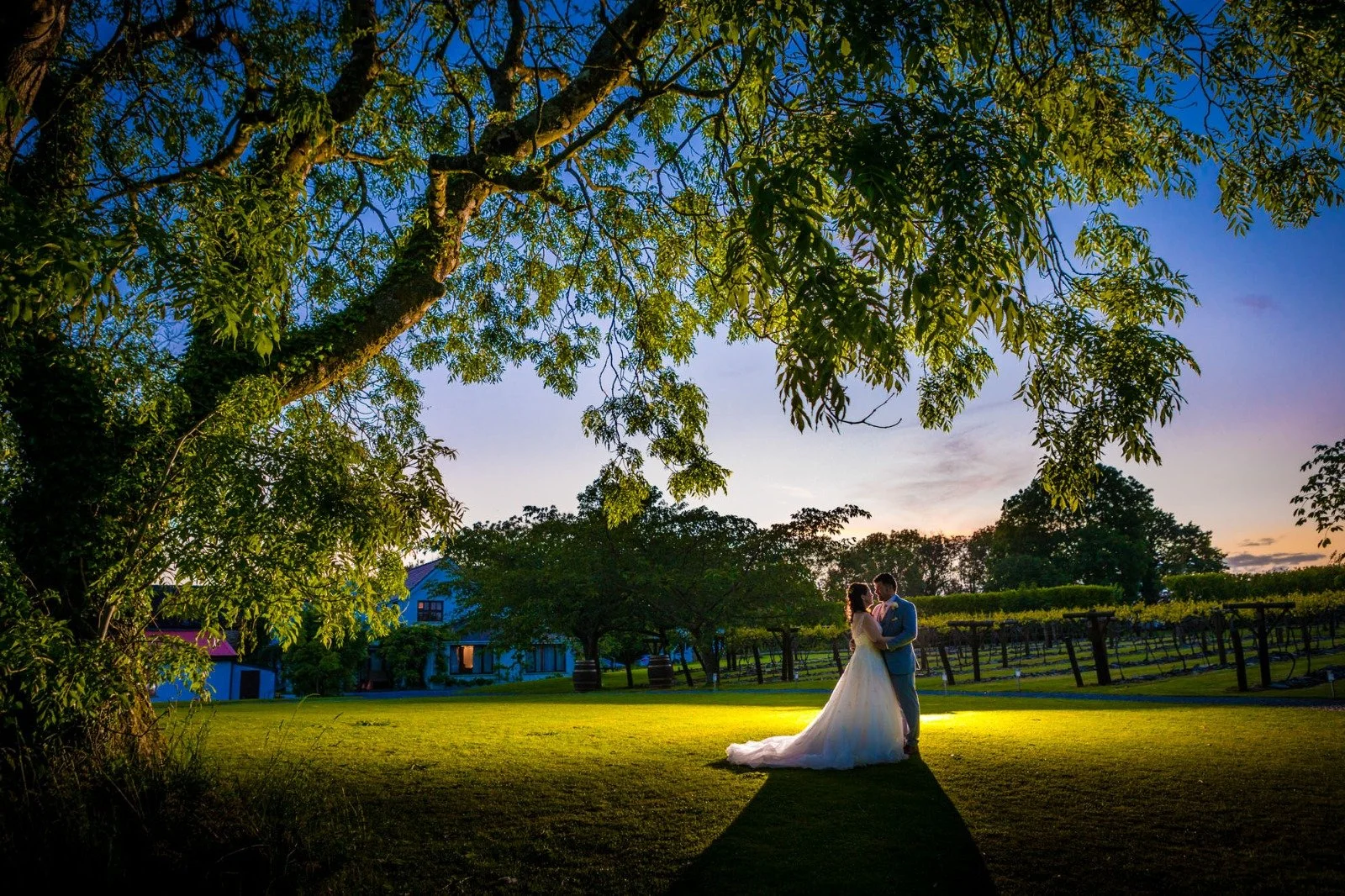 A bride and groom dancing outdoors at sunset, with large trees and a field in the background.