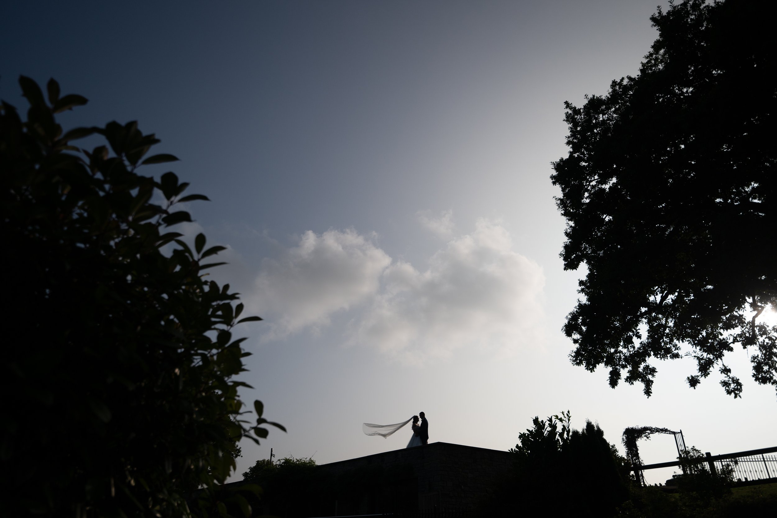 Silhouette of a couple dancing on a rooftop with trees and a partly cloudy sky in the background.