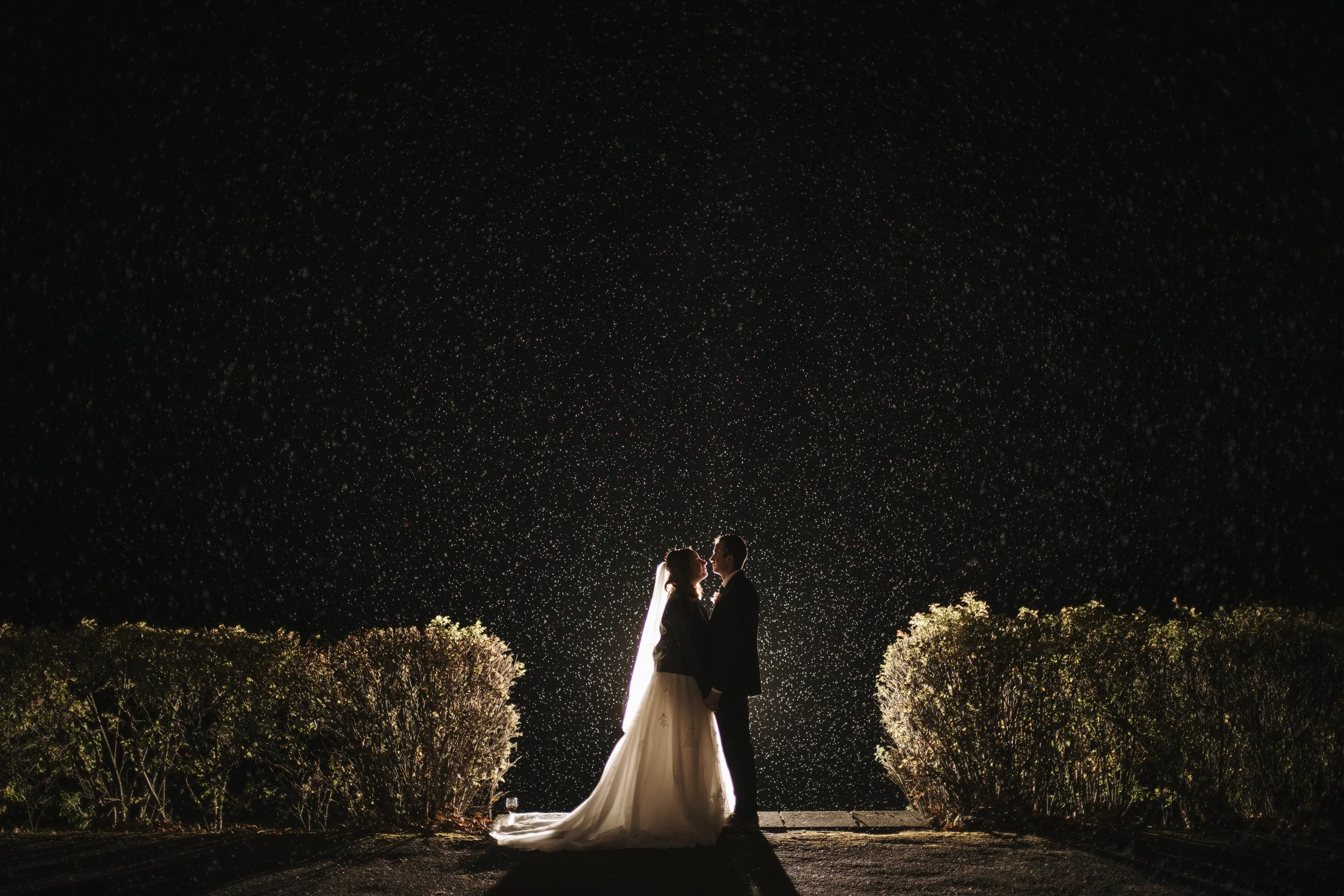 A bride and groom facing each other at night with stars overhead, illuminated from behind, surrounded by bushes and trees.