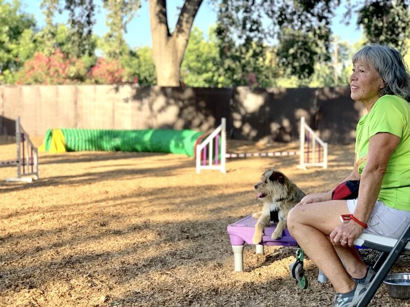 Peggy and Katy agility.jpg