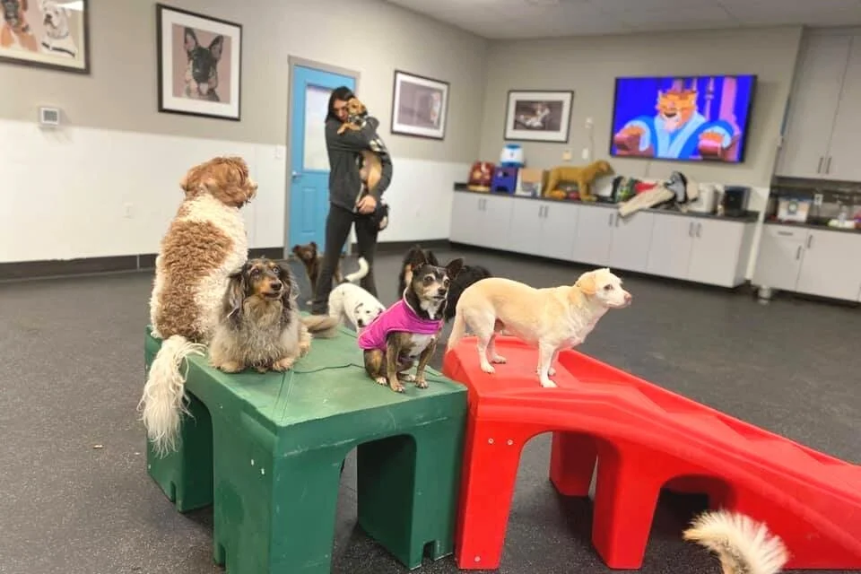 daycare-trial.jpg