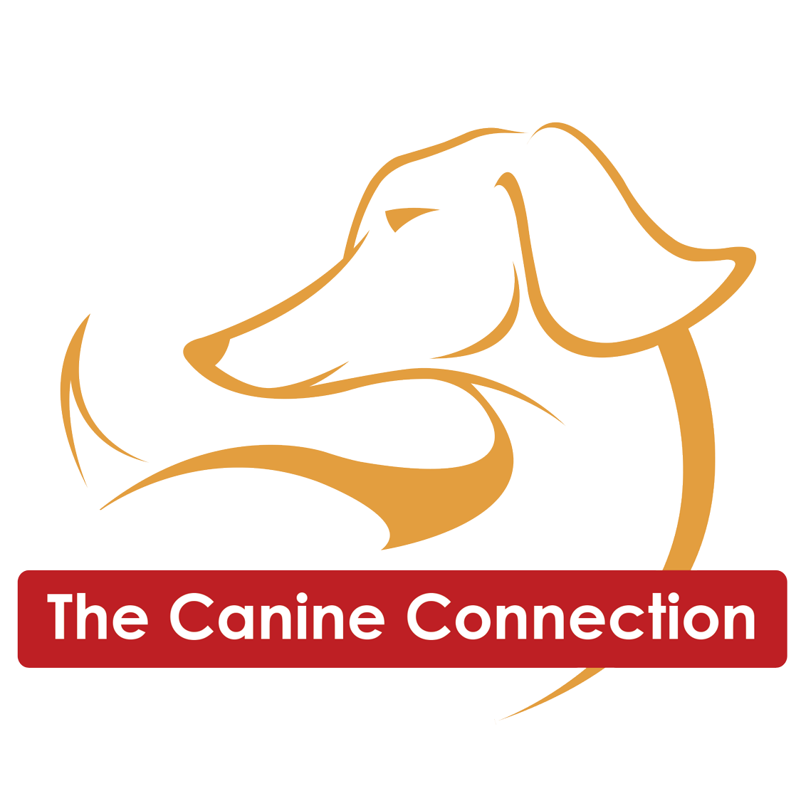 The Canine Connection, LLC
