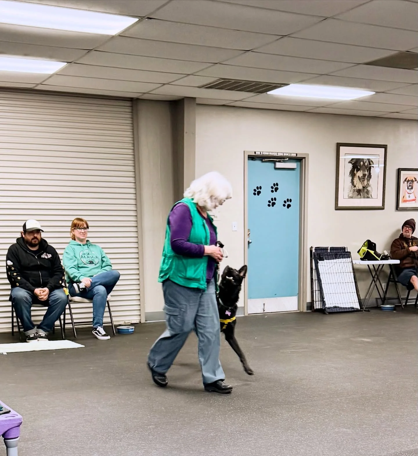 Today, a client shared that she was disappointed that she didn&rsquo;t get to see me (Sarah) demonstrating in class with my Aussies (they do demonstrate our training approach during our parent orientation but in subsequent sessions they stay at home)