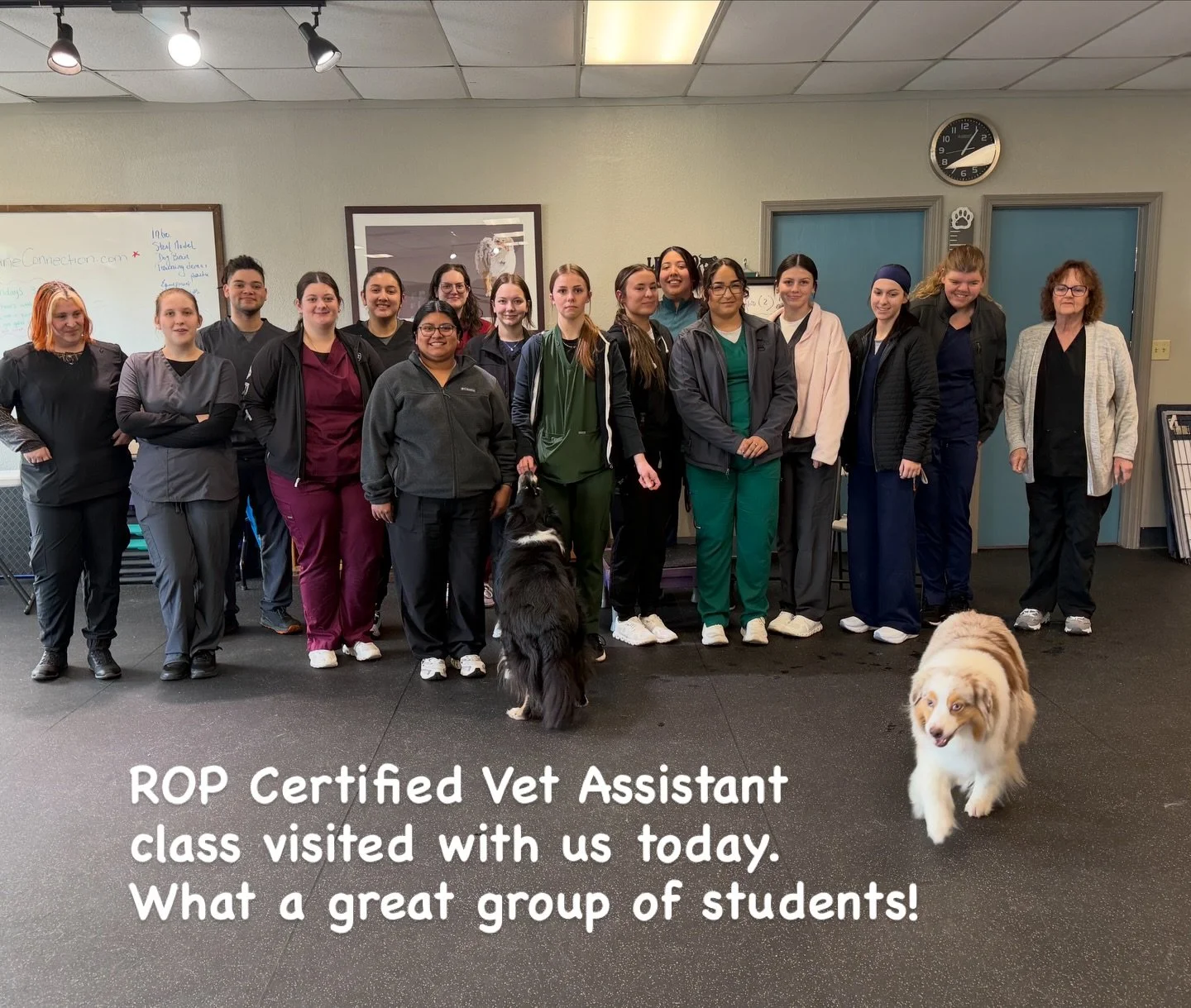Today, students from the Butte County ROP Certified Vet Assistant program came out to our academy center to learn about training and behavior. We have been meeting with students enrolled in this great program every year for almost two decades! We lov