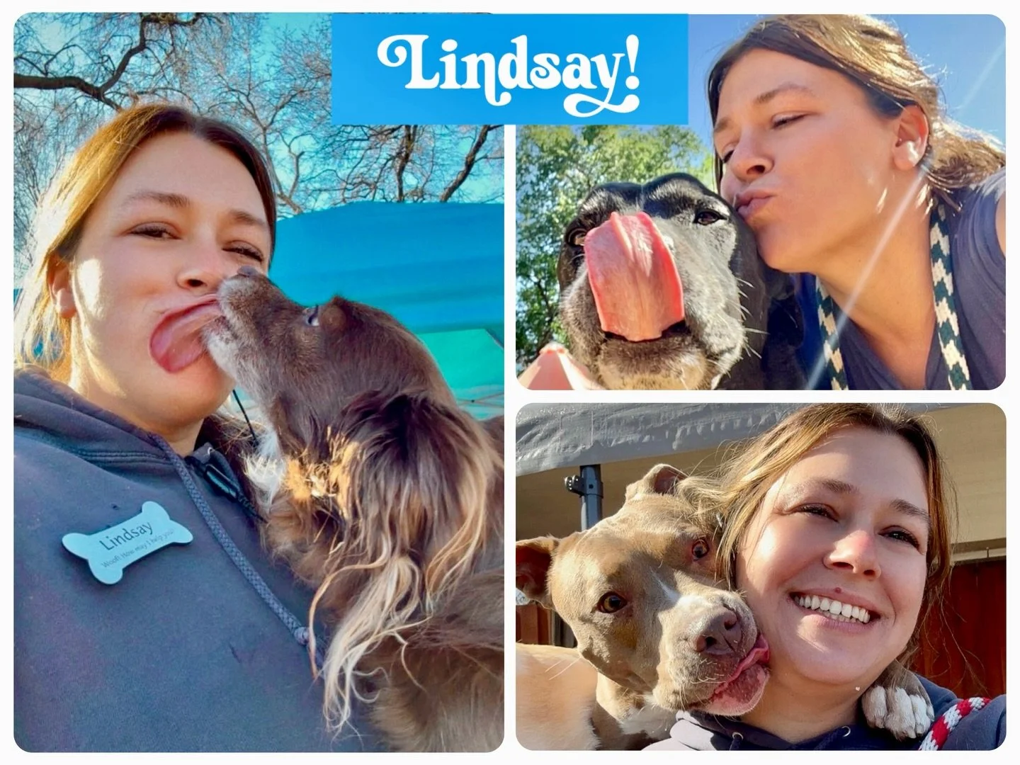 We have a really special WORKAVERSARY to celebrate this month! Lindsay started her career with The Canine Connection four years ago. She is such an important and integral member of our resort team that it&rsquo;s hard to even remember a time when we 