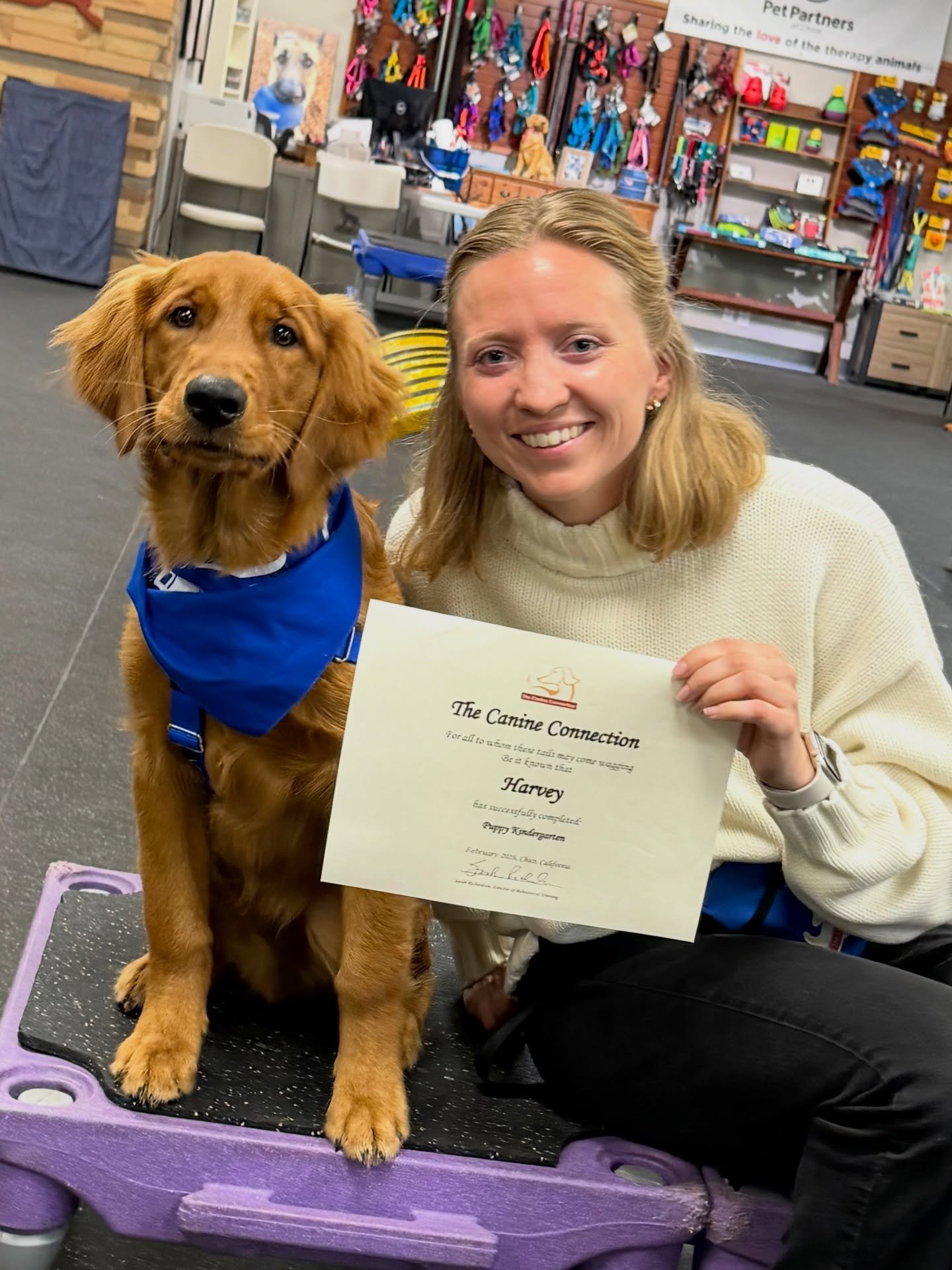 Puppy Kindergarten grads! Look at these beautiful pups and peeps who just completed our January-February 2026 class! Congratulations to all. A+++!!