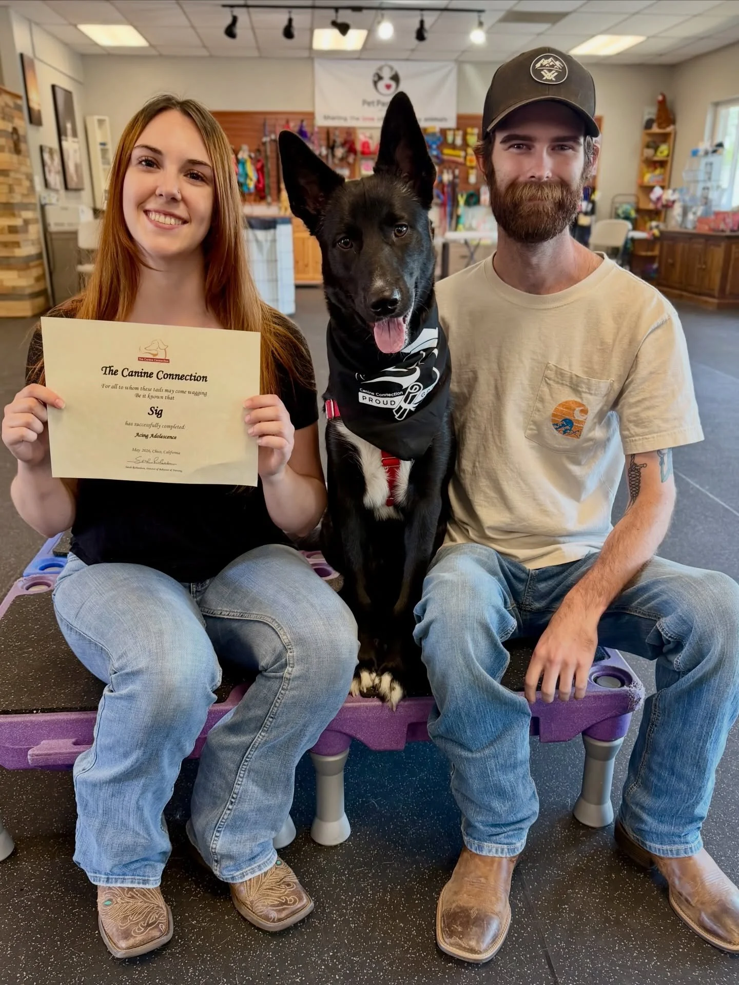 Congratulations to these grads of our Continuing Ed class, &ldquo;Acing Adolescence!&rdquo; These beautiful dogs, Aria, Sig, Kuzco, and Earl truly did ace their lessons, thanks to their parents who aced their training practice! Way to go, class!

#ca