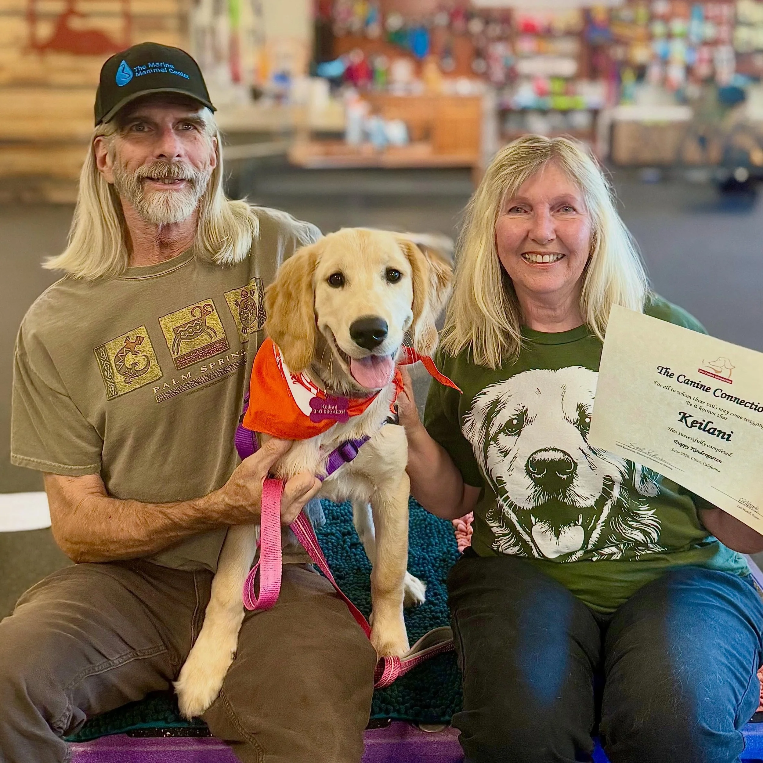 Be still, our hearts🩷🐾. These precious pups just graduated from Puppy Kindergarten! We&rsquo;re so proud of them, and of their parents too! What great teams of puppies and people! 

#puppykindergarten #puppylove #thecanineconnection #forcefreedogtr
