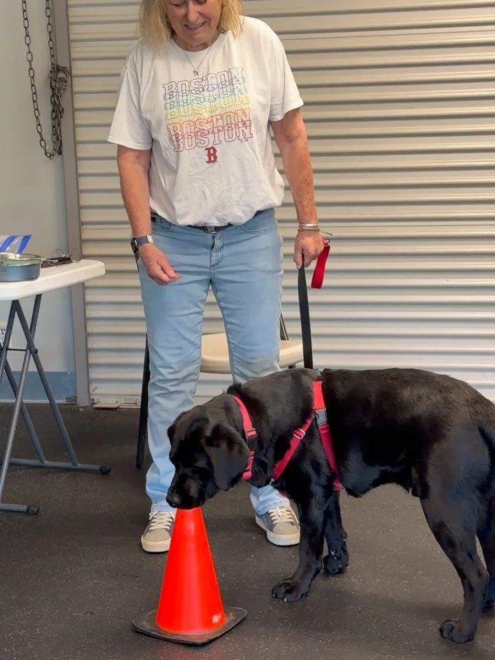 We love our brainy dogs! What a fun flash class tonight! Want to join one of our single session classes? Next up is another round of tricks. Hop on the &ldquo;Continuing Ed&rdquo; page of our website to learn more and register. And keep checking back