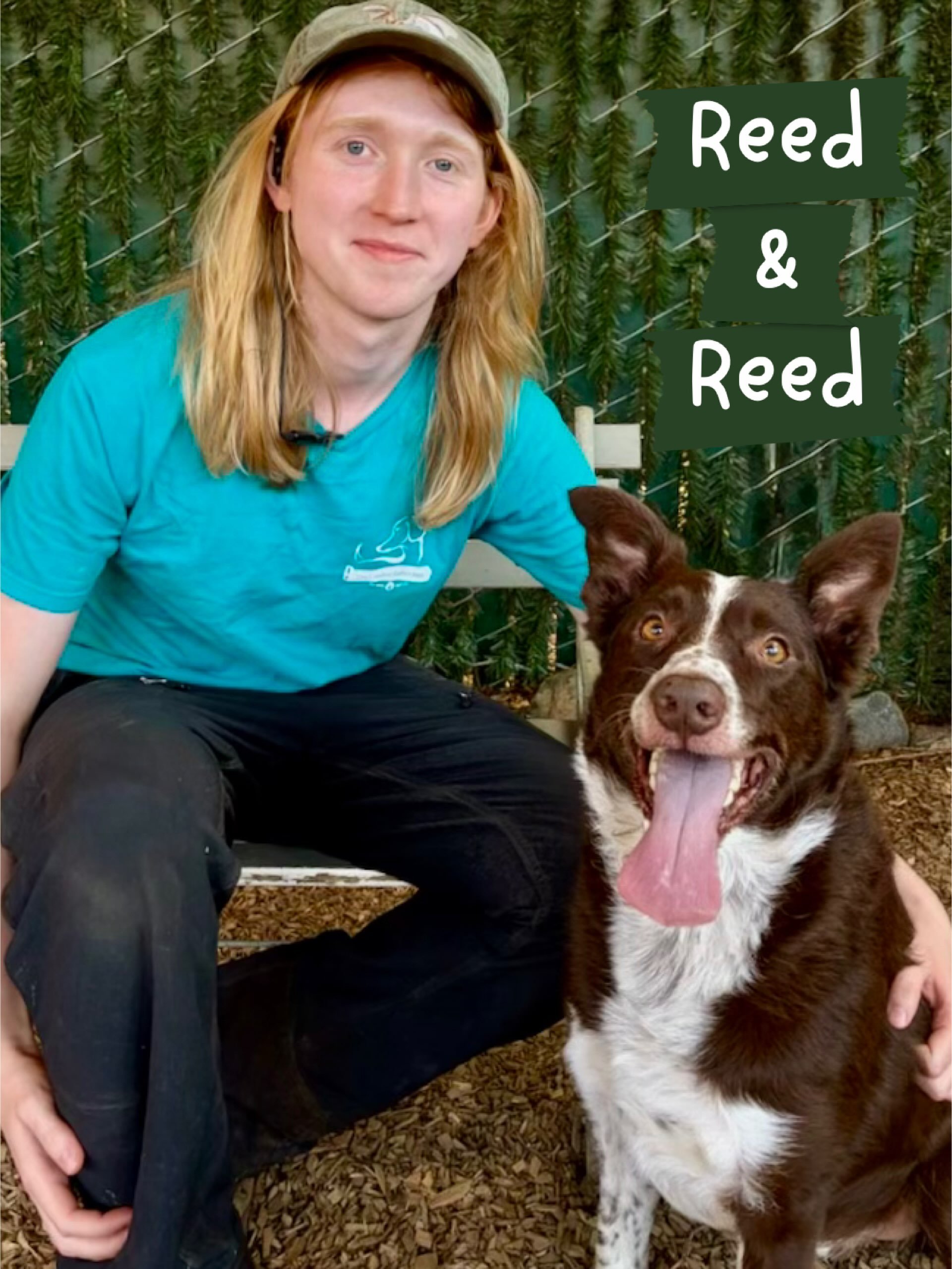 DOG OF THE DAY! 7-5-26 and&hellip;. WORKAVERSARY! Meet Reed and Reed, two fantabulous members of our Canine Connection community! 

Reed the dog (on right) is a bouncy, bright border collie who loves all the border collie things - chasing, running, s
