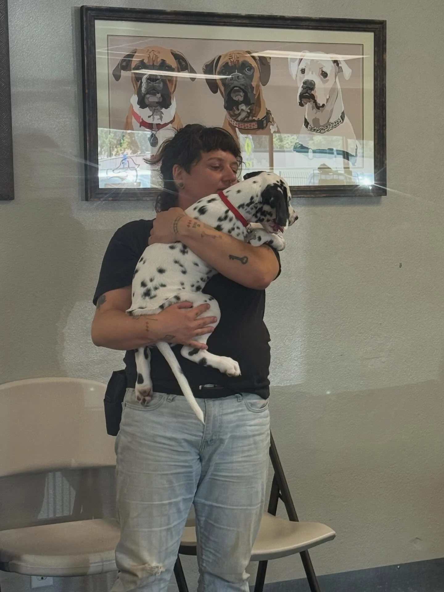 Trainer and Certified Behavior Consultant Anna is going to be teaching a Skills and Exploration course for the 4 Fridays of August at 4 pm. 
This small group class will focus on experience over specific skills, and animal centered learning and enrich