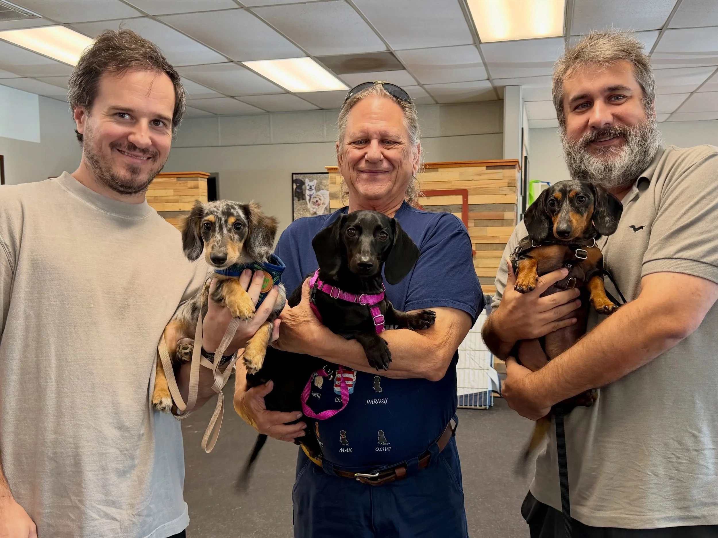 DOGS OF THE DAY - and dog dads of the day too! 7-25-26. Ollie, Olive and Locke all attended Puppy Social today and their dads did too. We couldn&rsquo;t let them leave without snapping this pic because the only thing sweeter than one doxie is three a