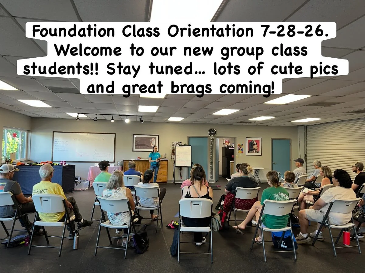 Welcome to our new foundation class!Last night we held our orientation, led by instructor, Deb, with Olivia and team dog, Minnie, assisting. We start our group class with an orientation to training and behavior because we find this really sets studen