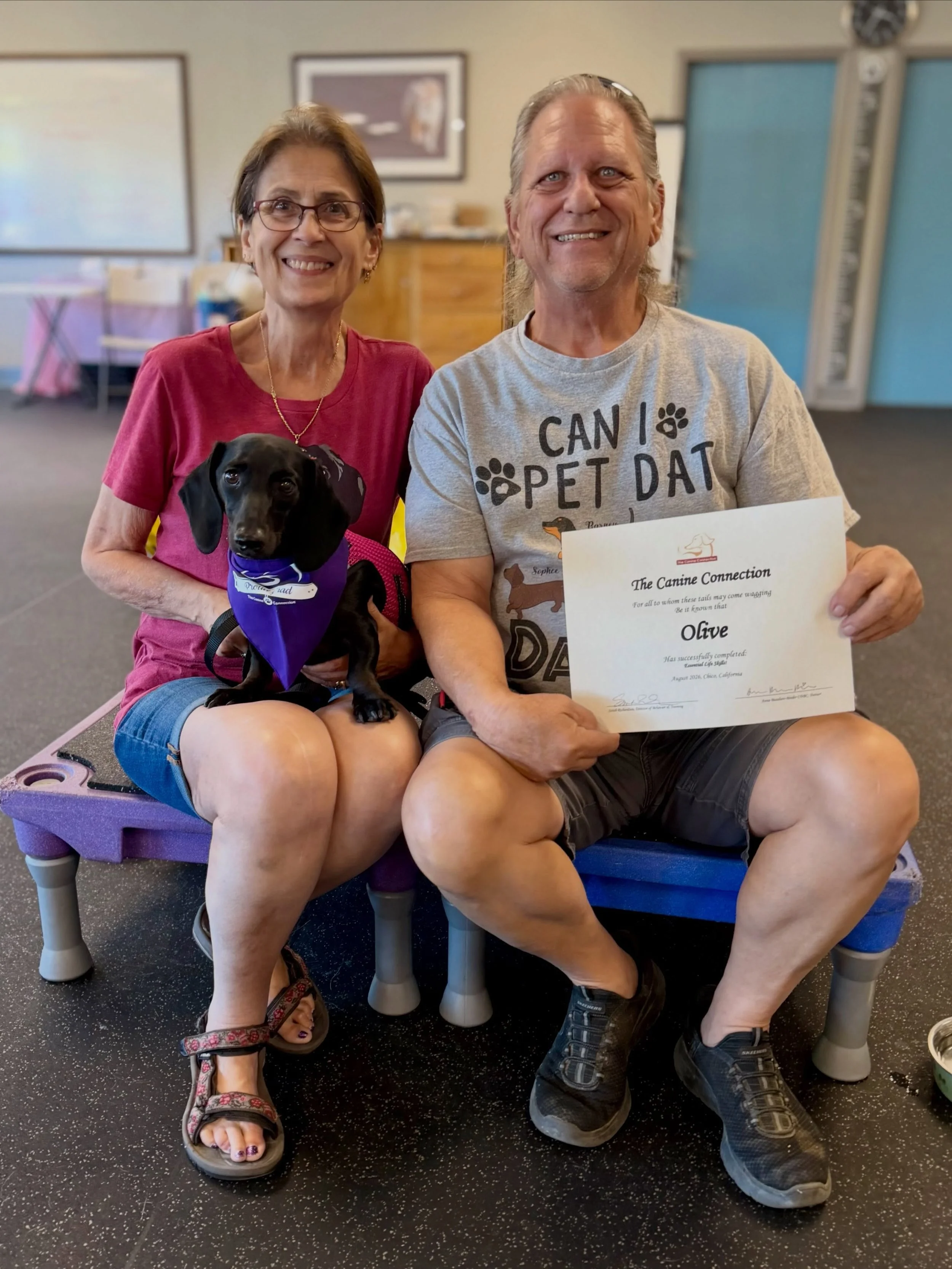 Congratulations to today&rsquo;s grads of our foundation training program! Olive, Rusty, Cheeto, Roxy, Ophelia, and Finn! We loved seeing you all learn and grow in skills, confidence, partnership with your people! We hope to see you all again soon!


