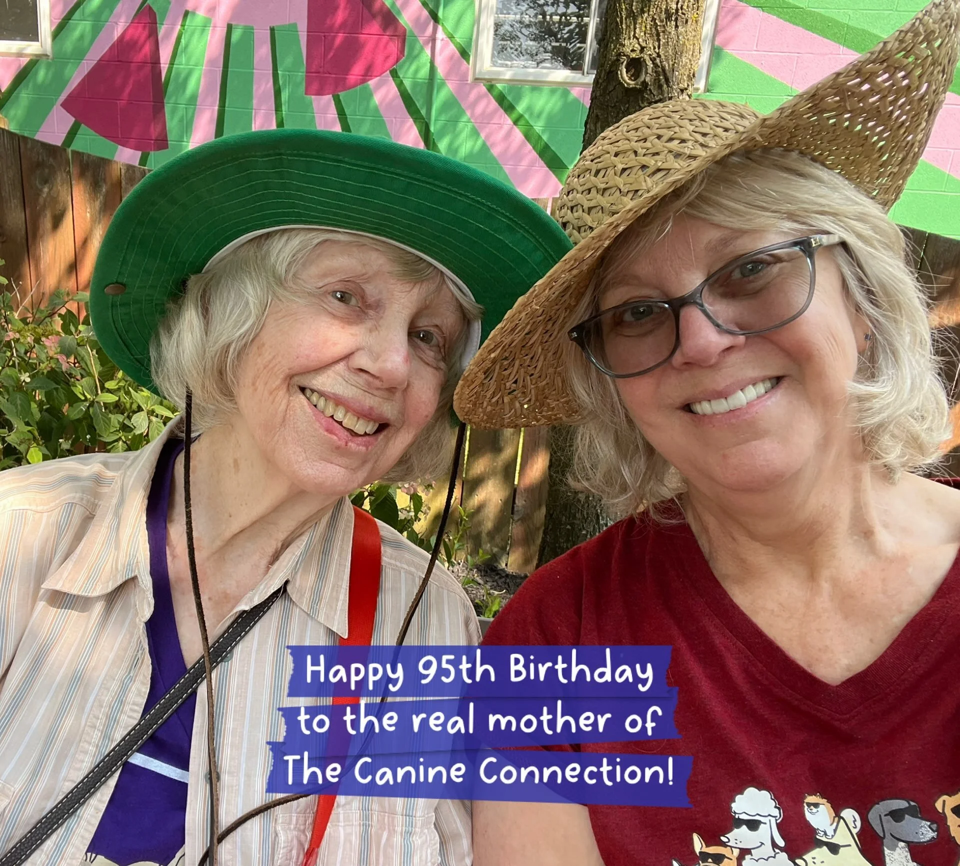 There&rsquo;s a very special birthday today and we&rsquo;d love for you to join us in sending out a birthday wish to a very special person&hellip;

As many know, The Canine Connection was founded almost 25 years ago by Sarah Richardson, to bring posi