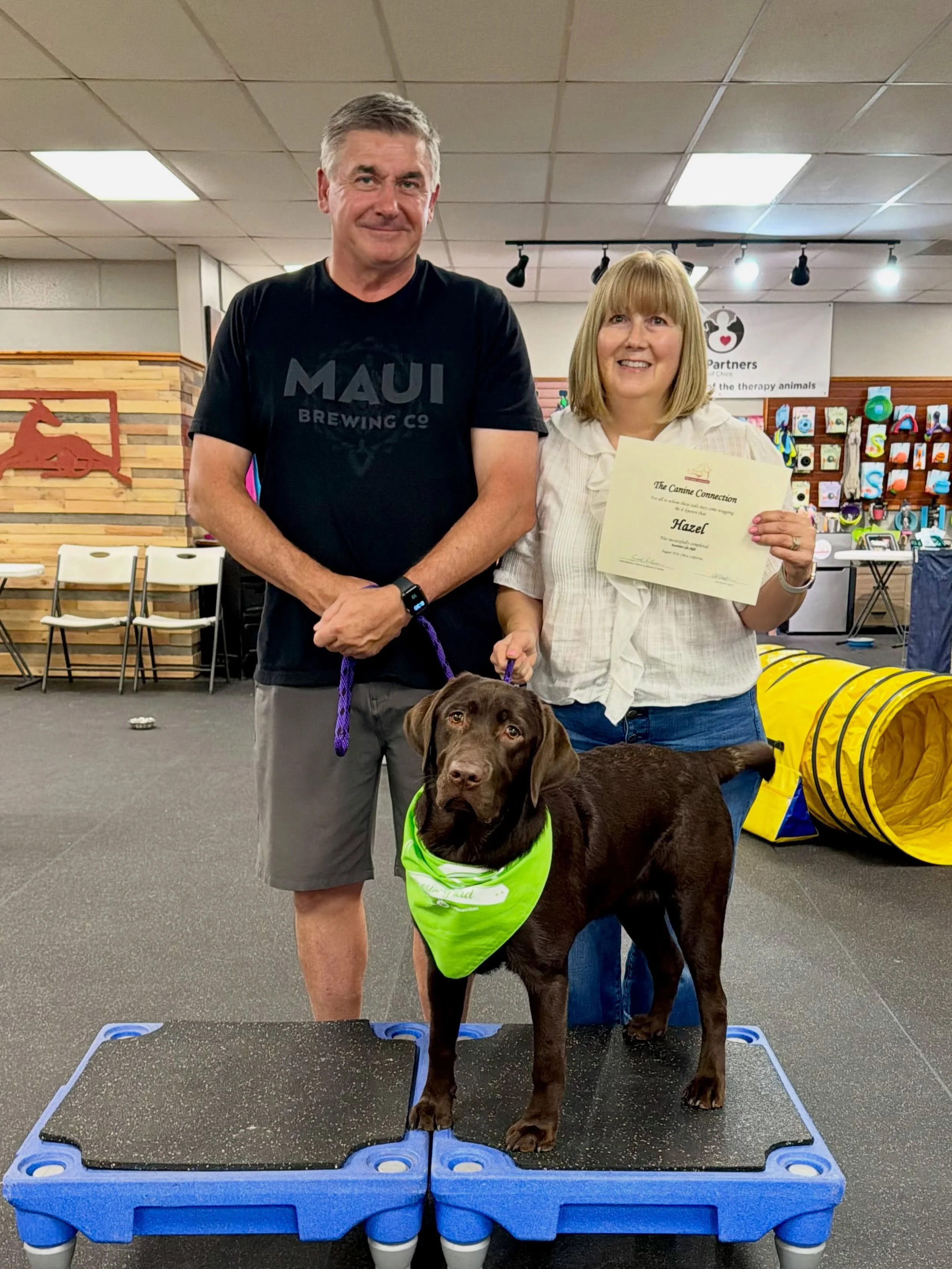 Congratulations to these grads of our foundation training class for teen and adult dogs! You are all awesome!! We loved our time with you and can&rsquo;t wait to see you all again!

#positivereinforcementtraining #forcefree #thecanineconnection #cani