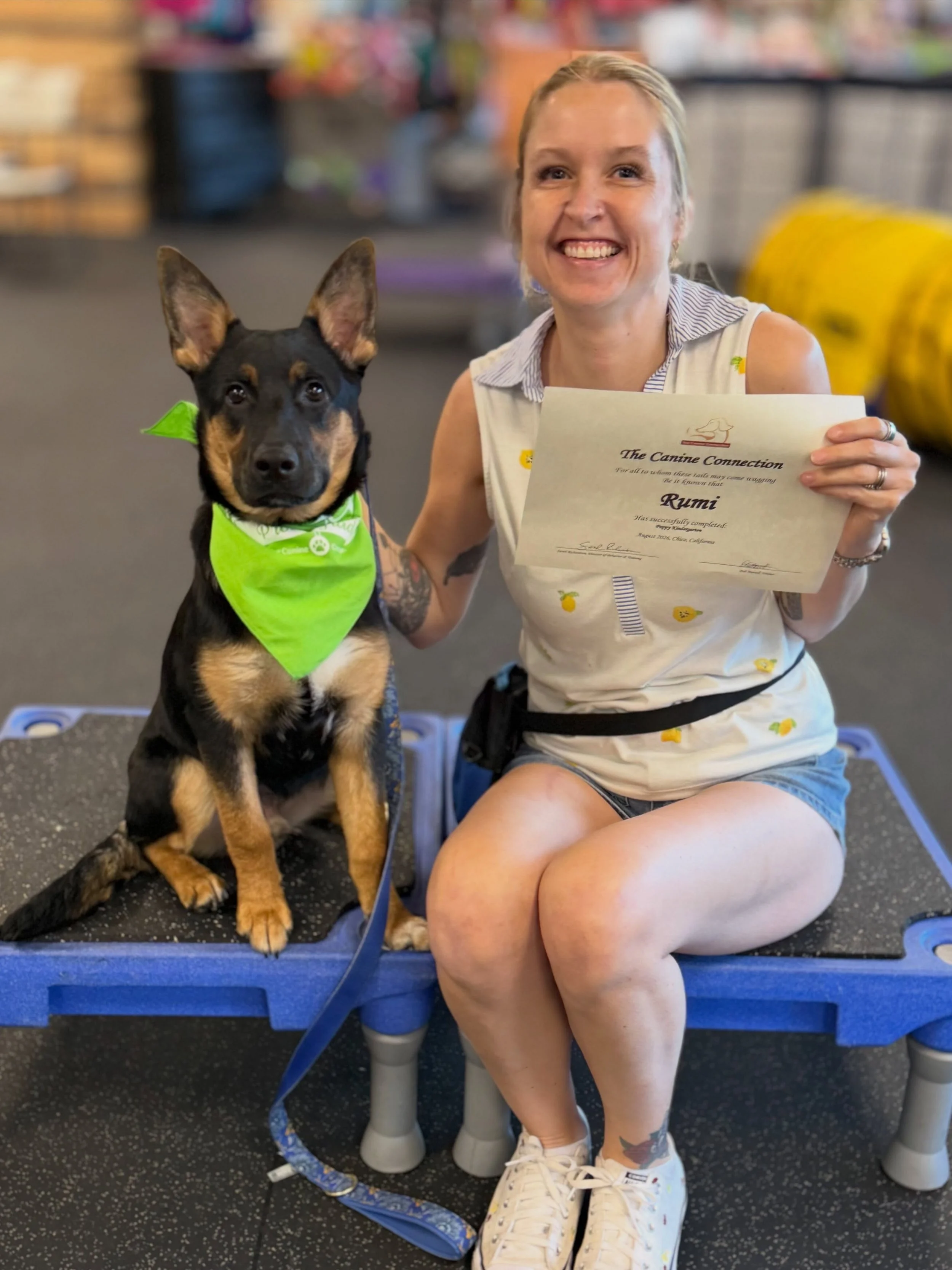 Oh, the puppy love! We are feeling it and these lovely puppy parents are living it! Tonight, these sweet pups graduated from Puppy Kindergarten! They were - are - amazing. A+++ to all for a job well done! Hooray, puppies! We can&rsquo;t wait to hear 