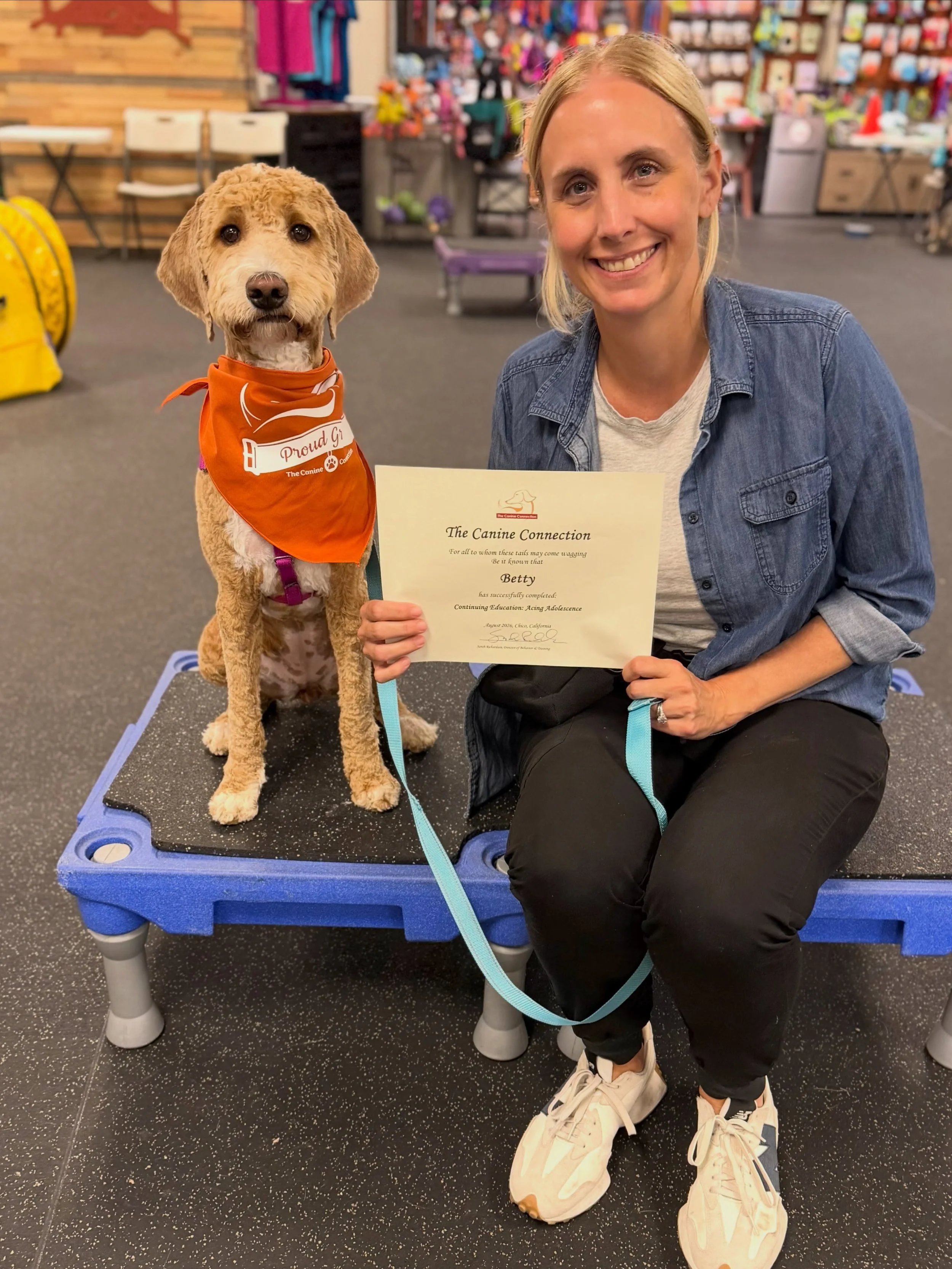 More happy grads, this time from &ldquo;Acing Adolescence,&rdquo; our continuing ed class that focuses specifically on helping teenage dogs and their parents navigate the often-challenging teenage phase. This group worked and came so far. We&rsquo;re