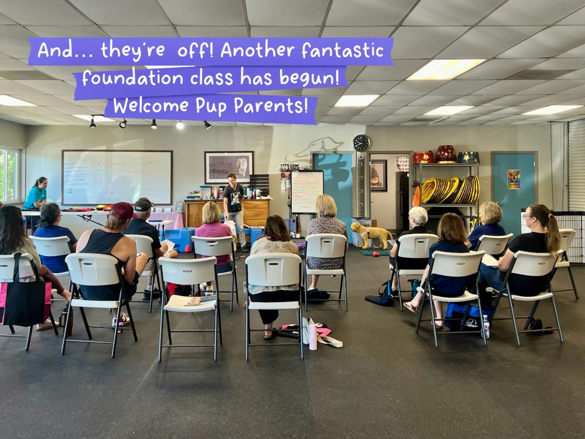 Welcome pups and parent! Another fun and fantastic foundation class has begun!

Why do we start all our classes with an orientation seminar that is just for the parents? We want to share with them how dogs learn and how we train and send them off wit