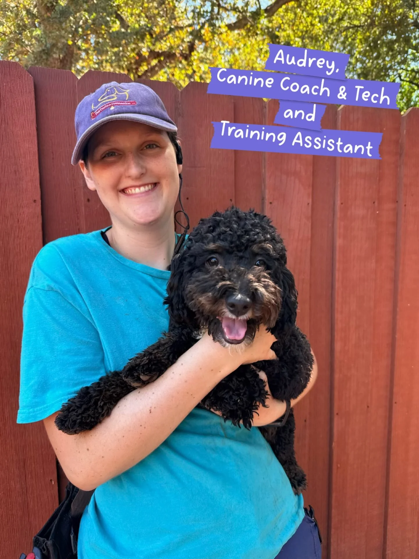 Our fantastic team members,
who are also great students, are back into their Chico State routine! Please join us in wishing them a great fall semester!

💜 Audrey, pursuing M.A. in Archeology. 

🩷 Alina, pursuing B.S. in Animal Science.

🧡 Beau, pu