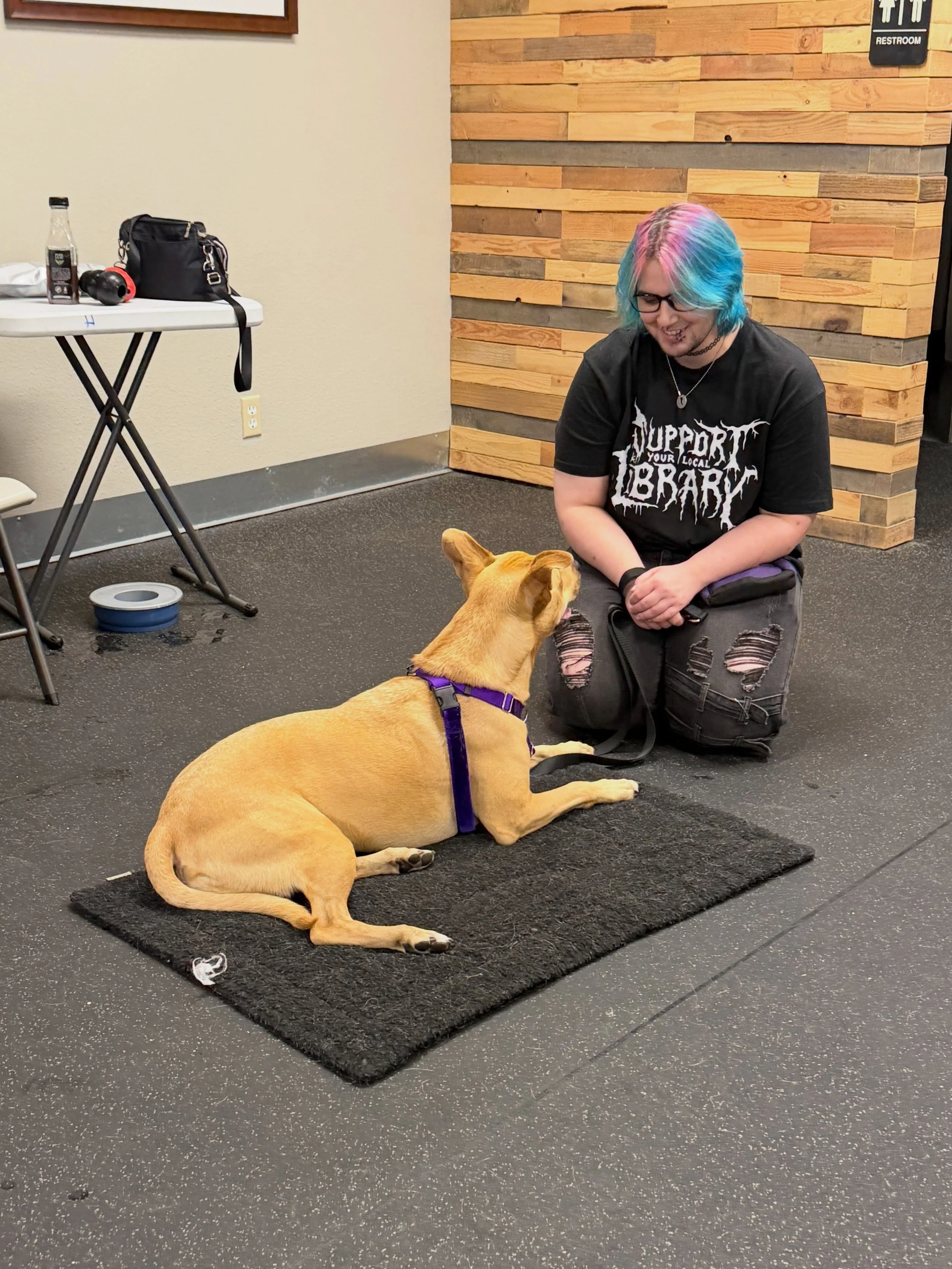 I (Sarah) am so proud of our teammates for wanting to learn and grow! Eli (with a friend&rsquo;s dog, Hazel), Shannon (with her own dog, Hudson), and Lili (with our foster dog, Reggie) are building their knowledge of, and skill with, positive trainin