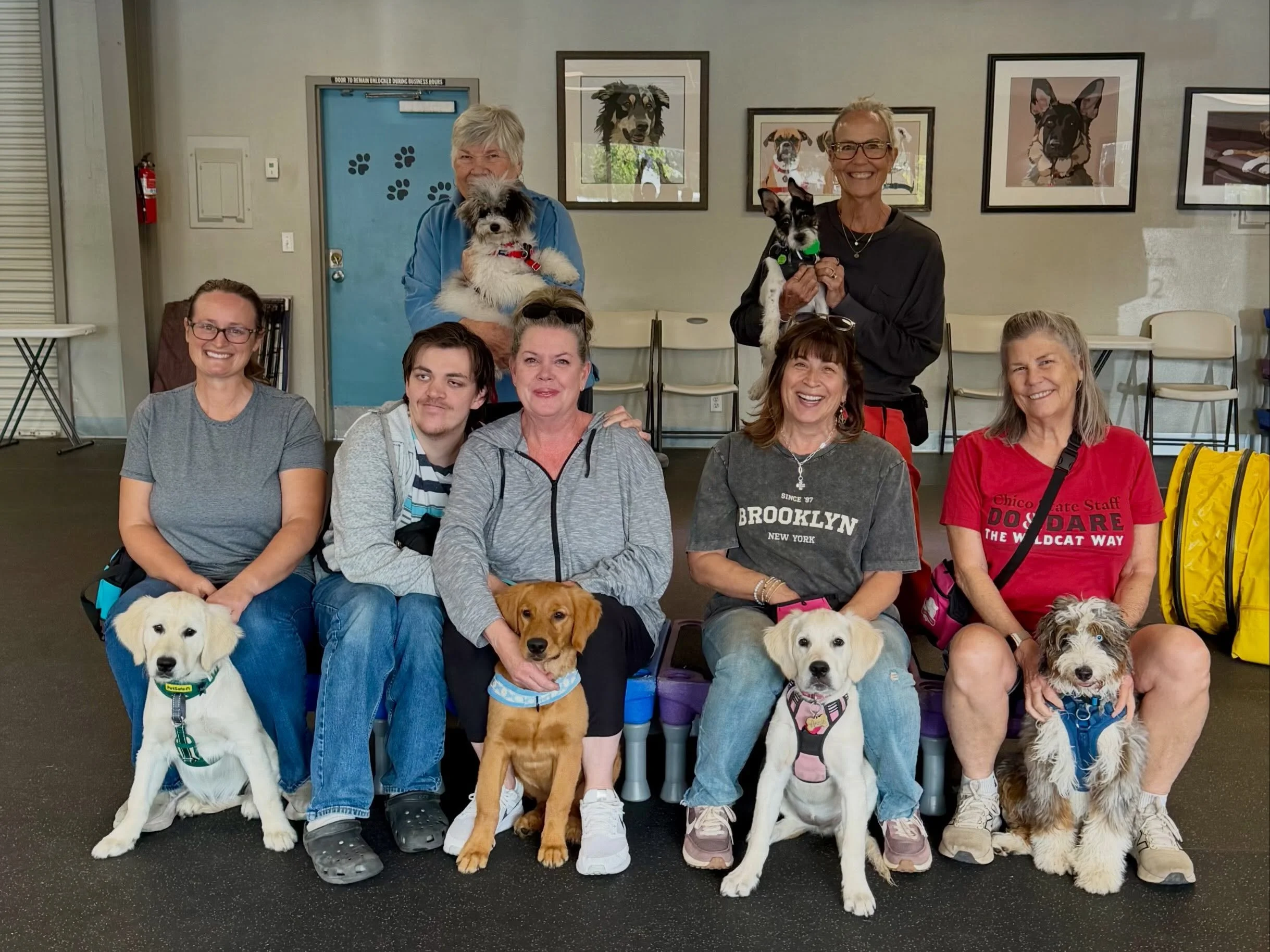 Holy Hound Dog! We held FOUR sensational socials today: Puppy Social, Shy Dog Social, and Small Dog Social (all held at our academy on Lassen) and our new Teen Dog Social (held at our resort). The happy attendants keeps us hopping and we really had a