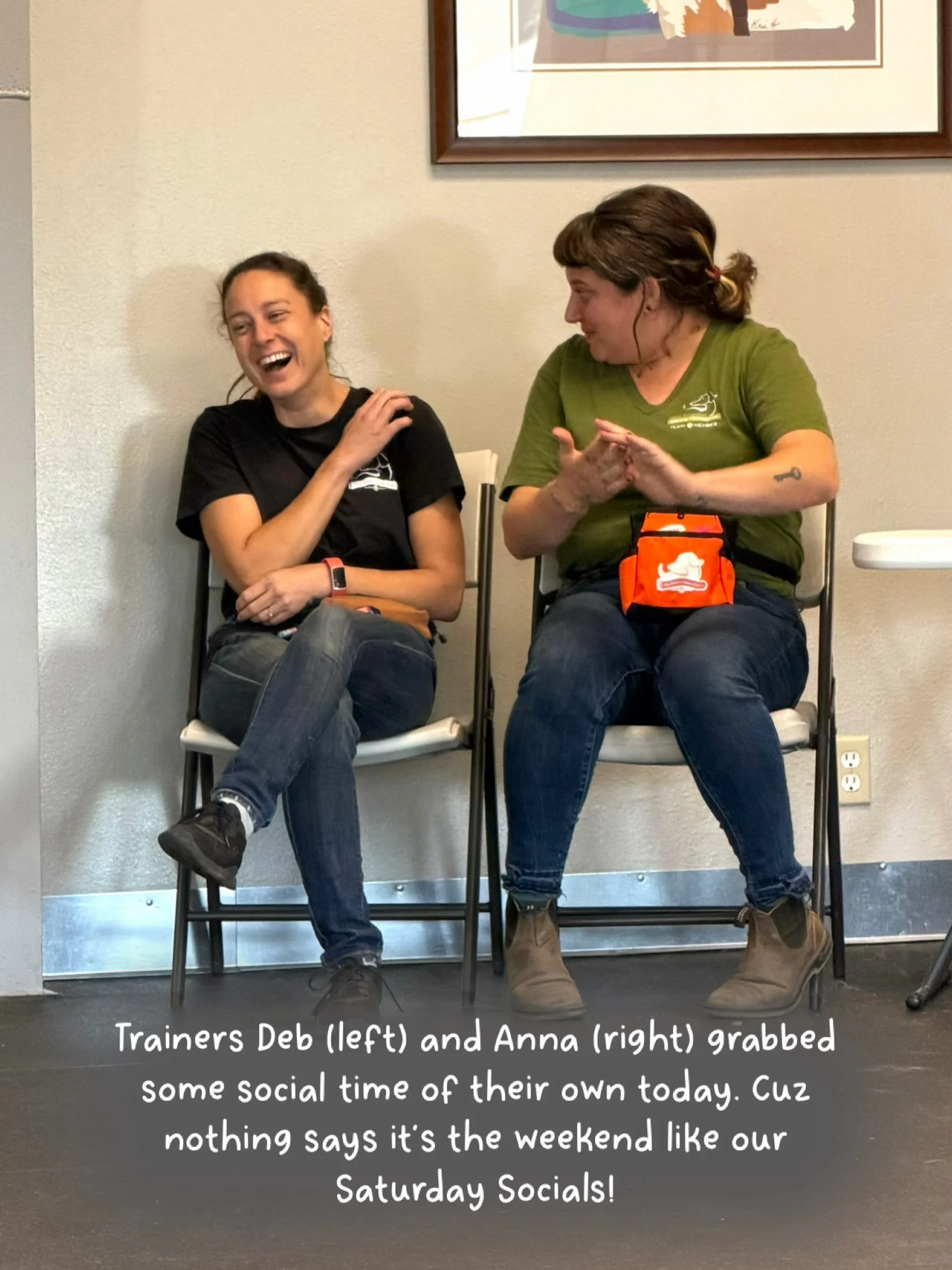 Nothing says it&rsquo;s the weekend like our Saturday Socials! Today we held Puppy Social, Shy Dog Social, Small Dog Social, Teen Dog Social and&hellip; Dog Trainer Social! We believe that good times with good friends is important to dogs AND people!