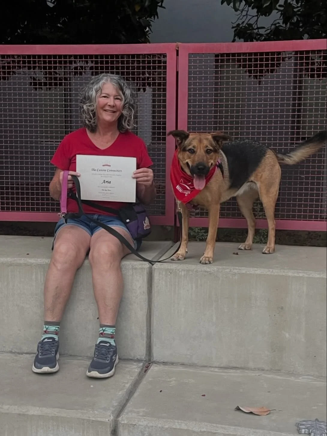 Congratulations to these grads of &ldquo;The Big Three,&rdquo; our Continuing Ed class that focuses on recall, leash manners, and polite greetings. Instructor Nancy took the class on field trips around town to hone skills with distractions. Hats off 