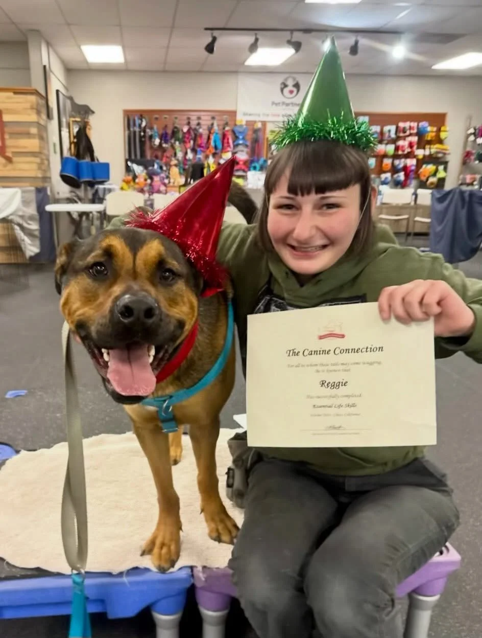 And the &ldquo;Party Animal&rdquo; award goes to&hellip;. LILI and REGGIE who graduated from &ldquo;Essential Life Skills&rdquo; last night with greatness and gusto! 

Reggie is one of our beloved and fantastic foster dogs, fostered through @cassiesd