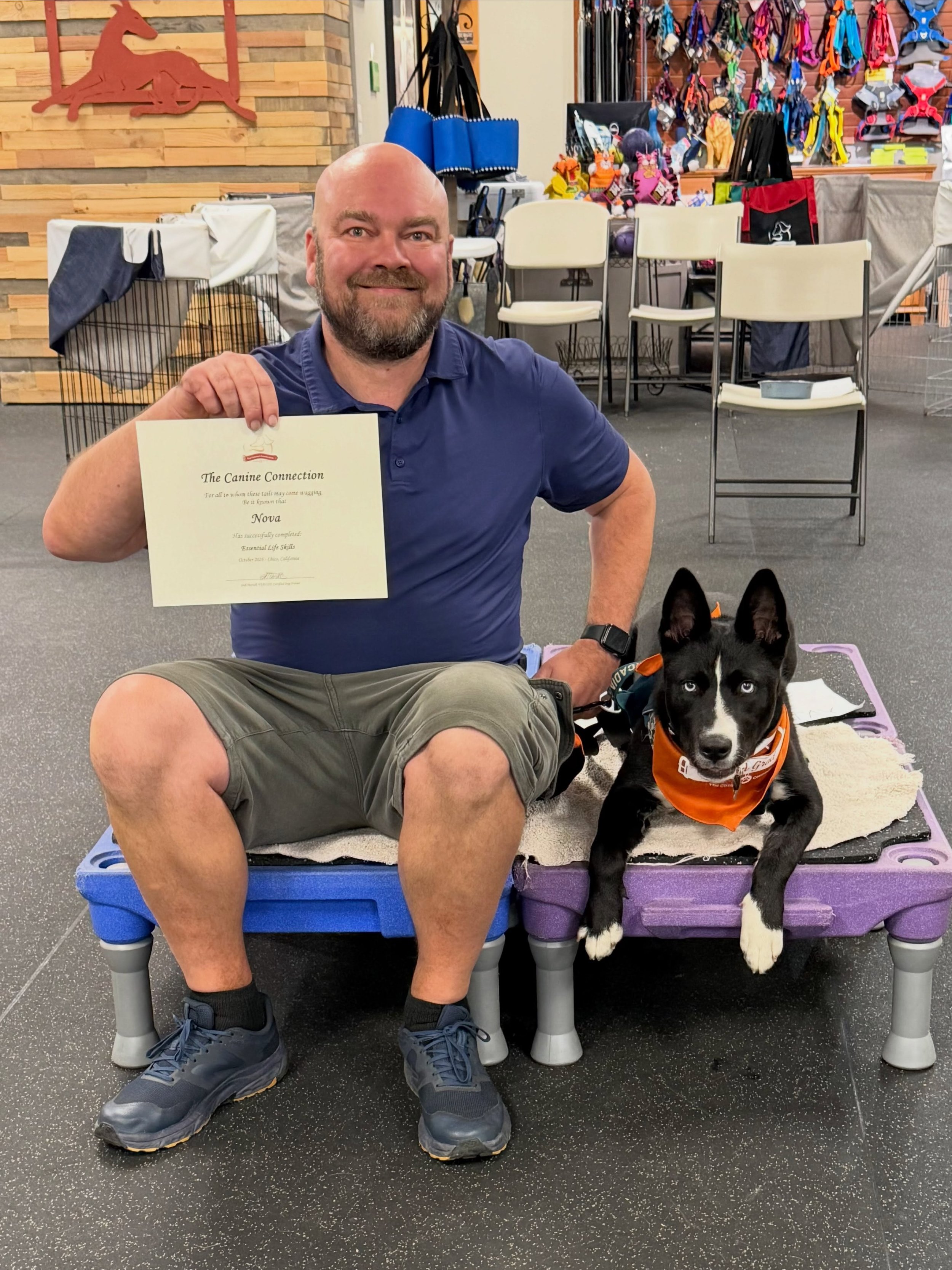 Congratulations, GRADS! We sure had fun with this Wednesday evening &ldquo;Essential Life Skills&rdquo; class. These newly minted grads are Nova, Cali, Darla, Hudson, Hazel, and Reggie, who all excelled with their lessons. Keep on training, teams! We