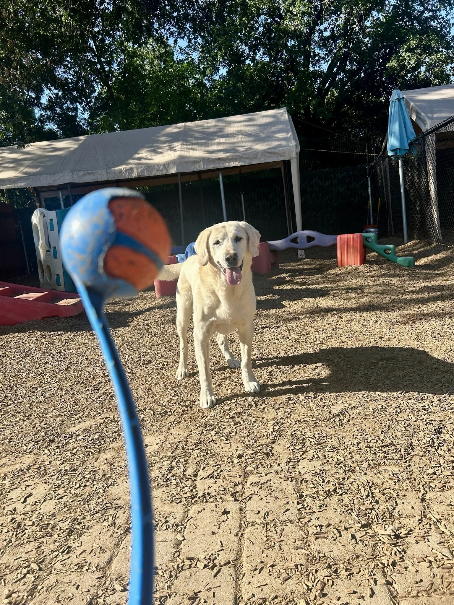 IMG_5800.jpeg