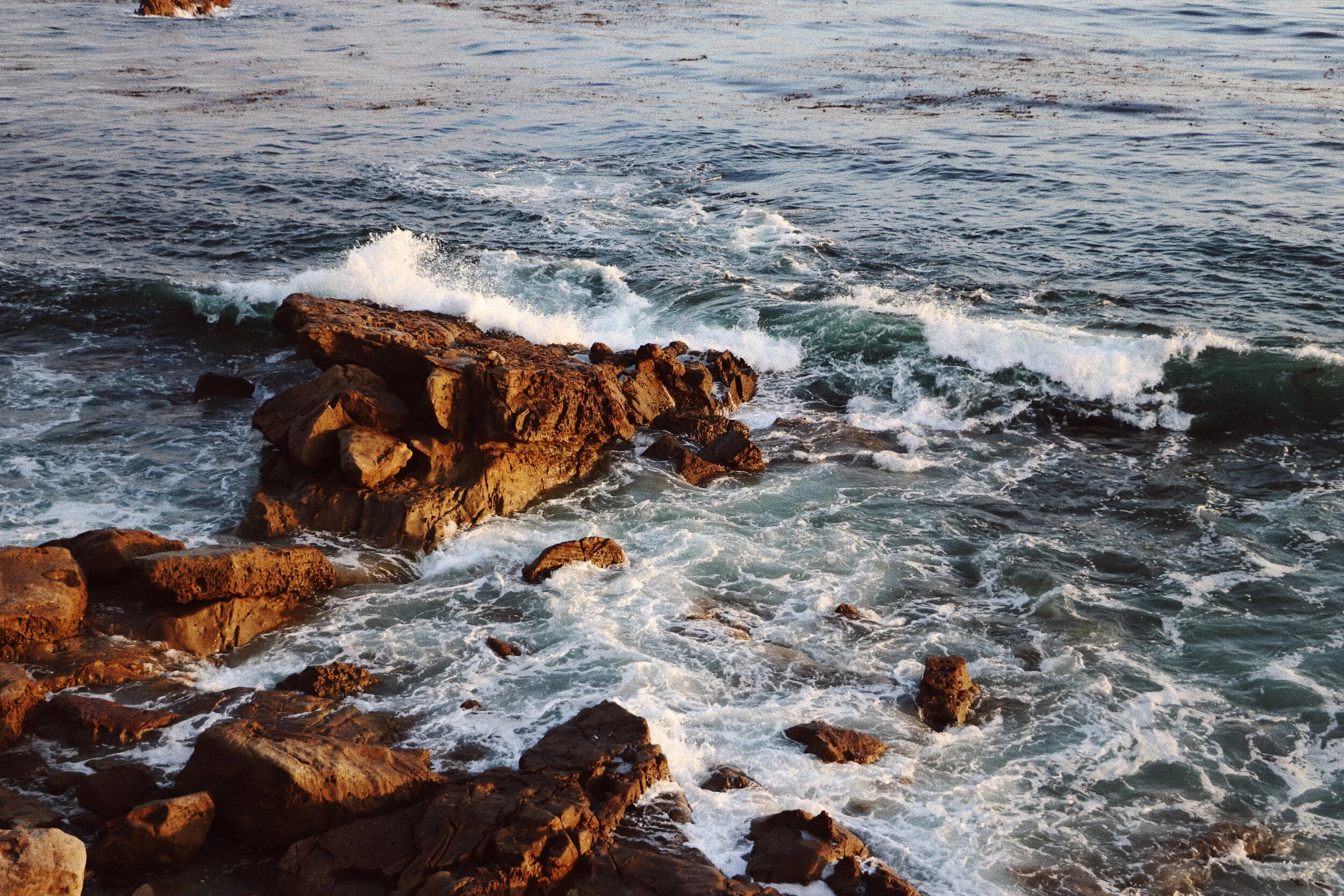 3E3F48AD-2214-40D5-AE8B-9491A4BB35C0.jpeg