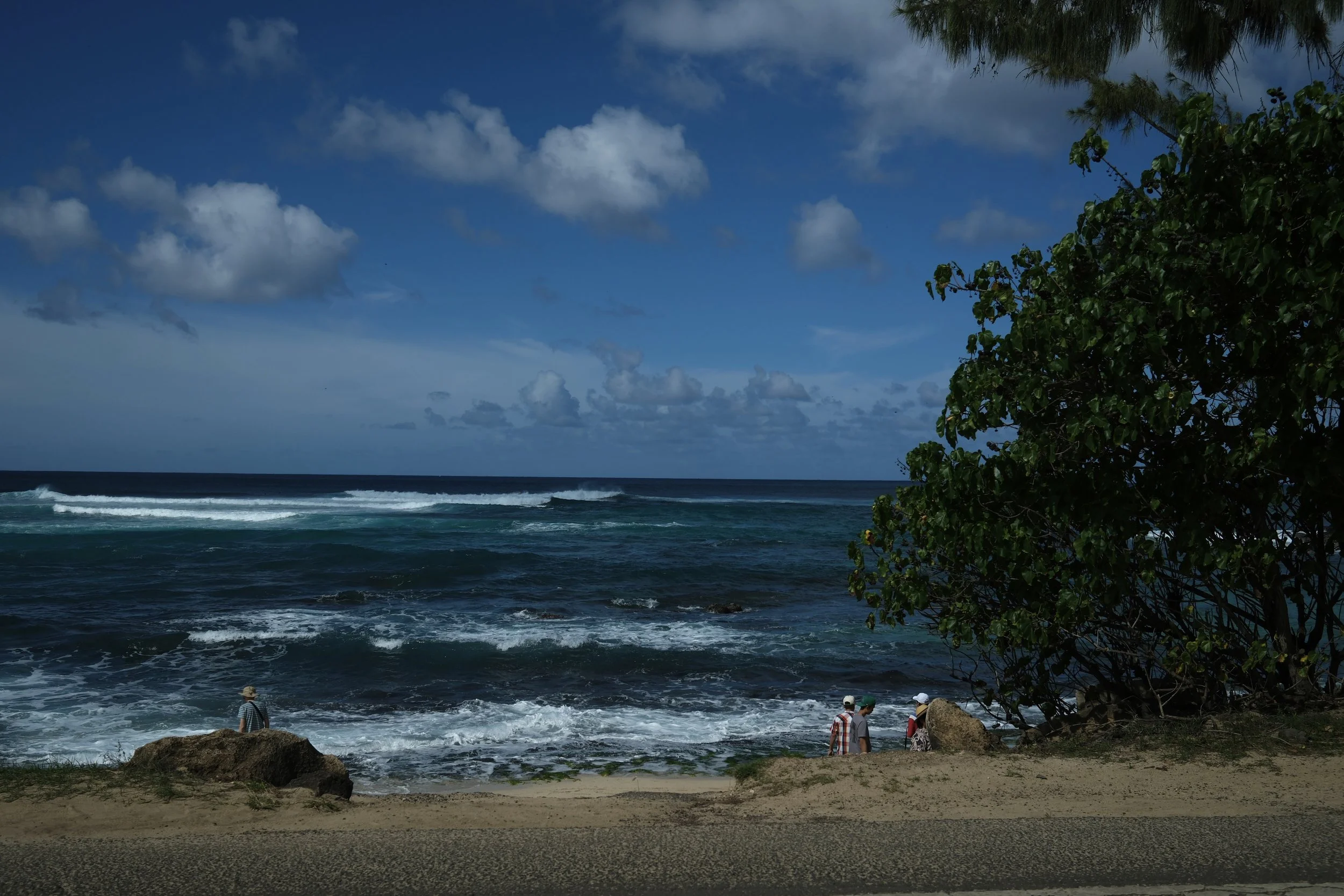 DSCF0191.jpg