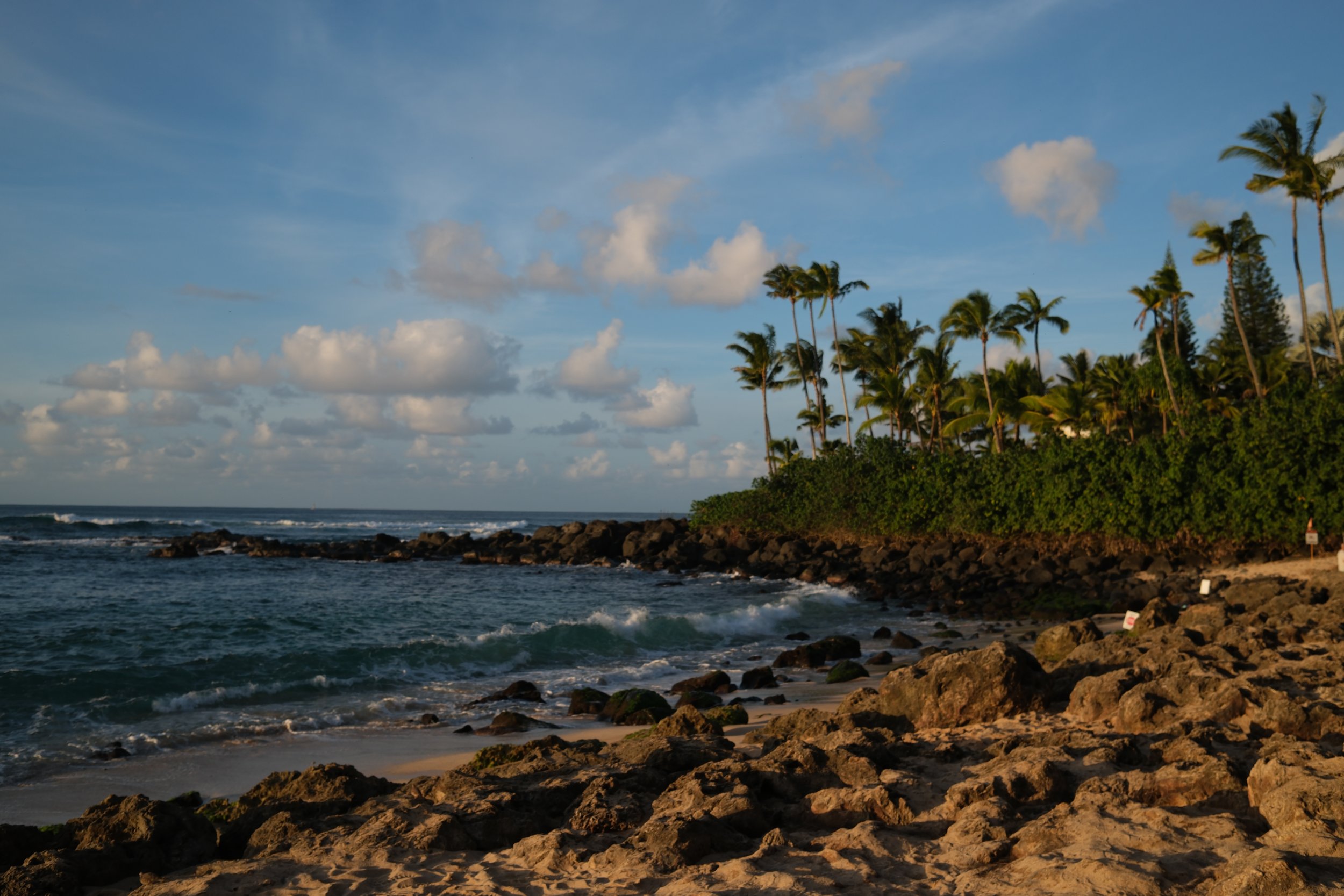 DSCF0219.JPG