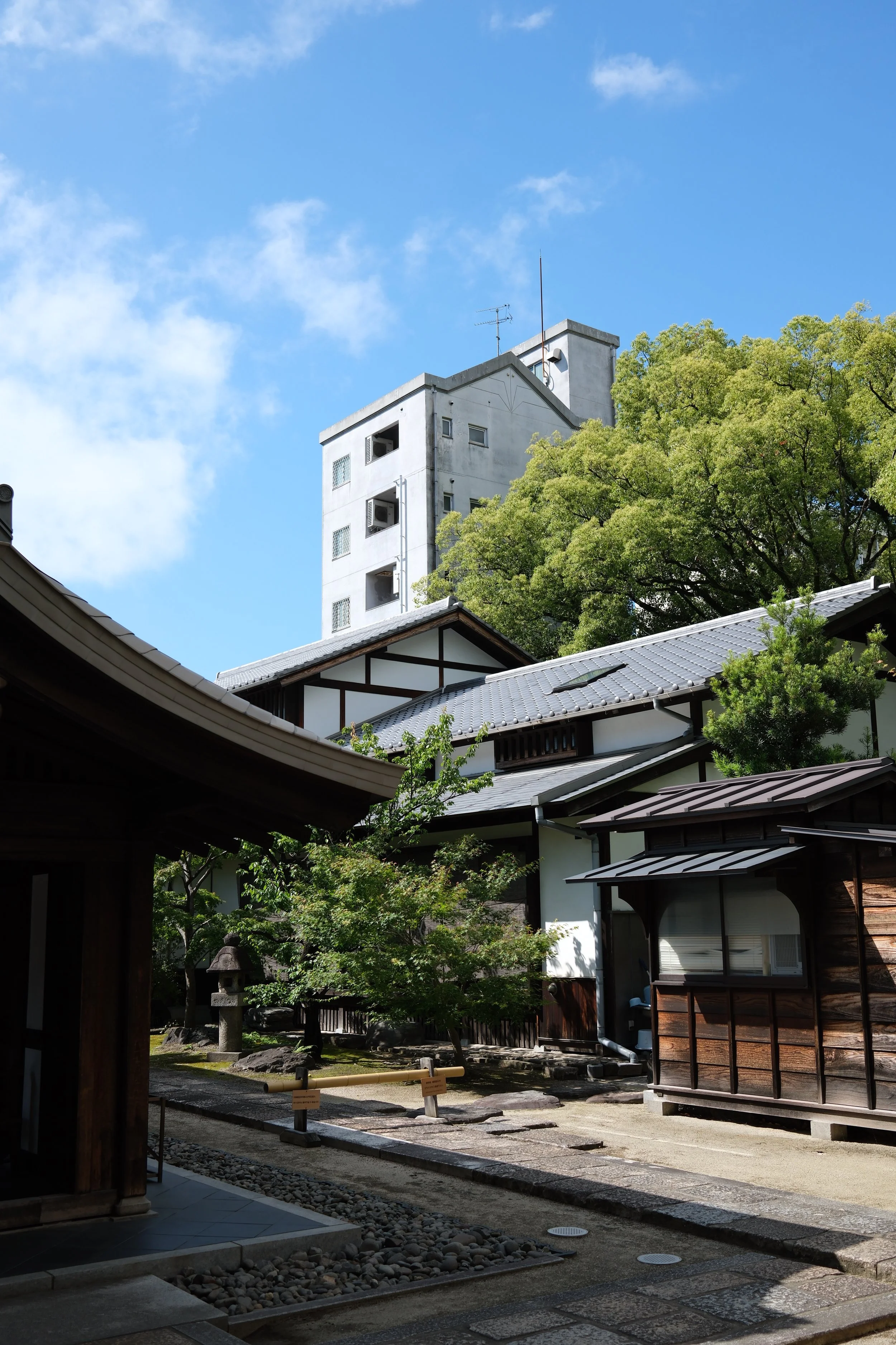 DSCF0037.JPG