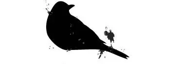 Blackbird Therapy, LLC