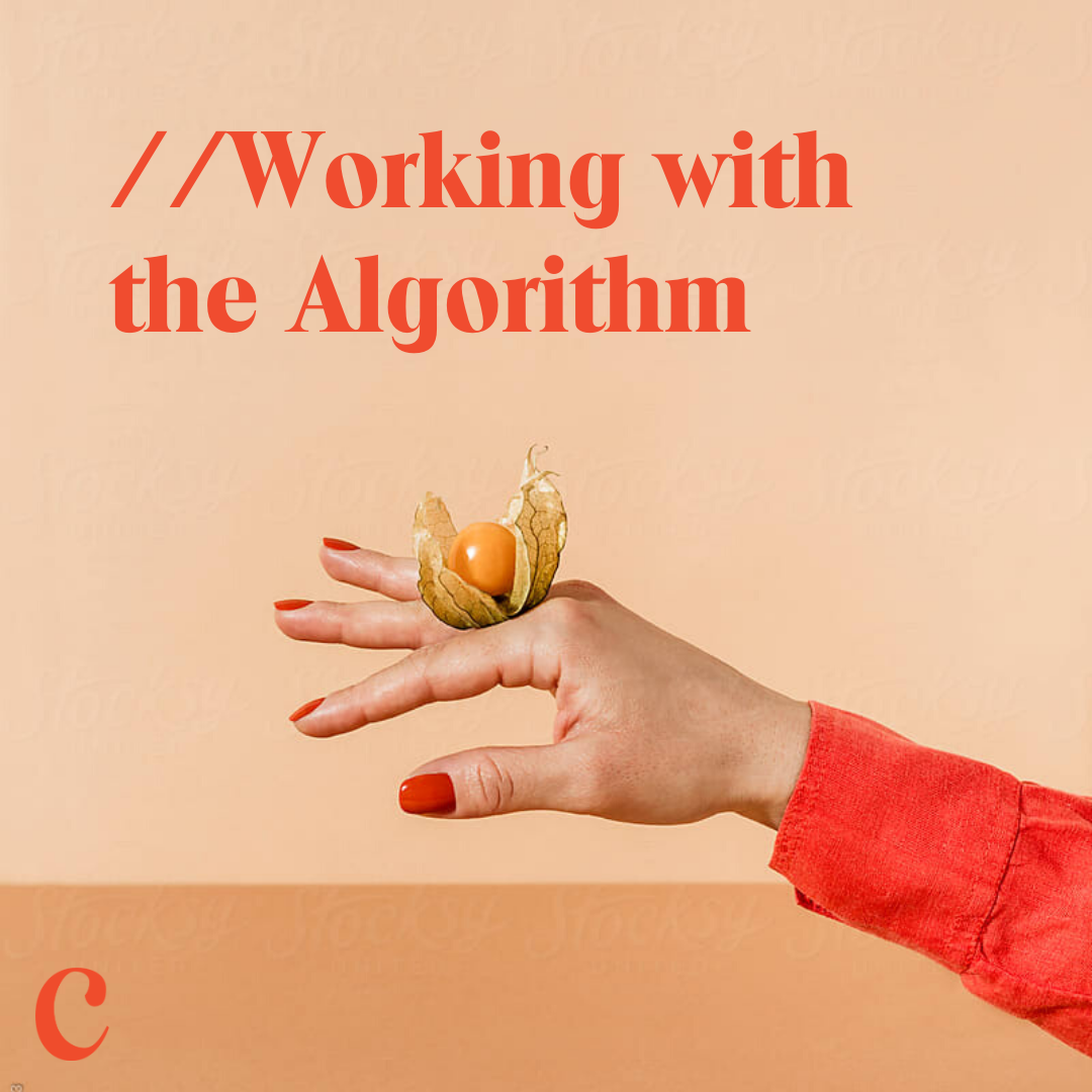 Algorithm 101 - Working with it to Increase Your Engagement — Coastal ...