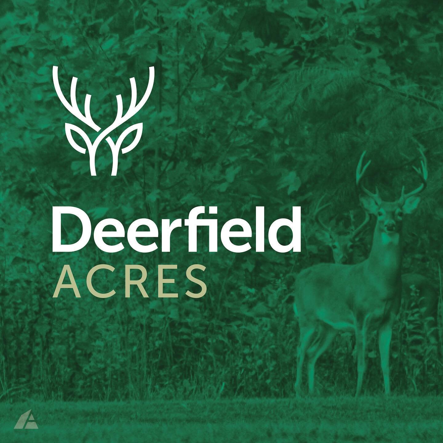 Deerfield Acres. Art direction and design. Identity, brand, direct, print, collateral, p.o.p., social. @christian_papist at The A-Frame. 
.
.
.
#design #designer #graphicdesign #graphicdesigner&nbsp;#layoutdesign #artdirection #artdirector  #branding