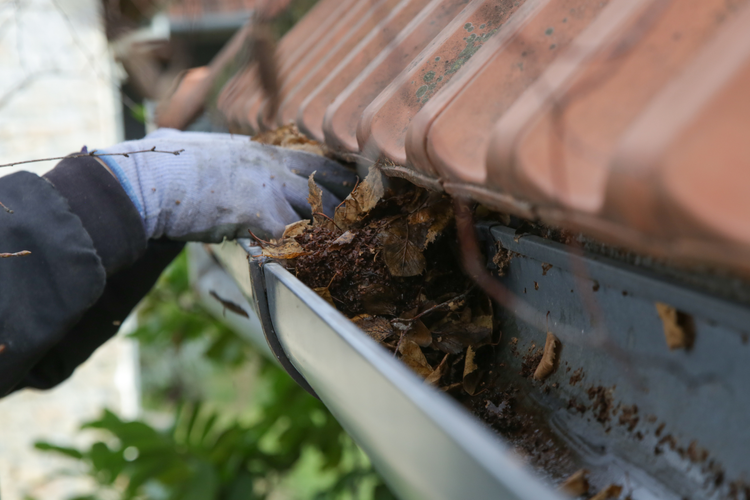 How to Clean Gutters Safely & Effectively