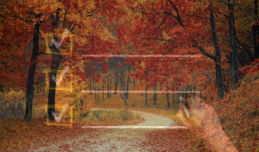 Is Your Website Senior Year-Ready? A Pre-Fall Performance Checklist