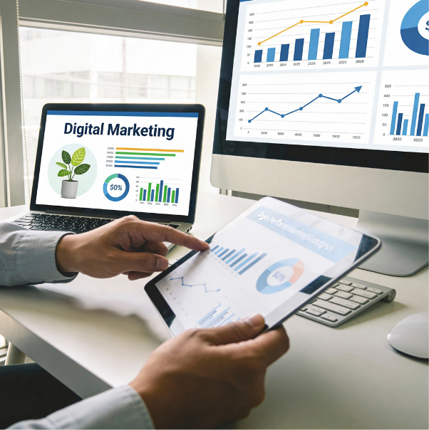 Digital Marketing Consulting