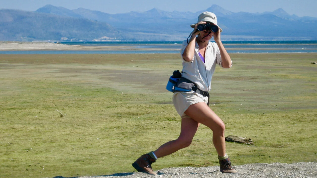 Jill binoculars move straight (1).jpg