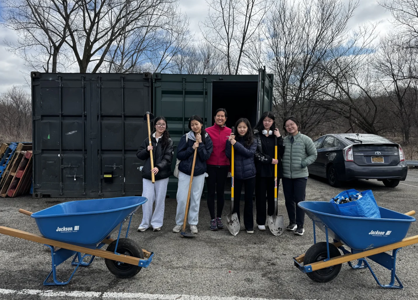 Forest Restoration with Kissena Synergy
