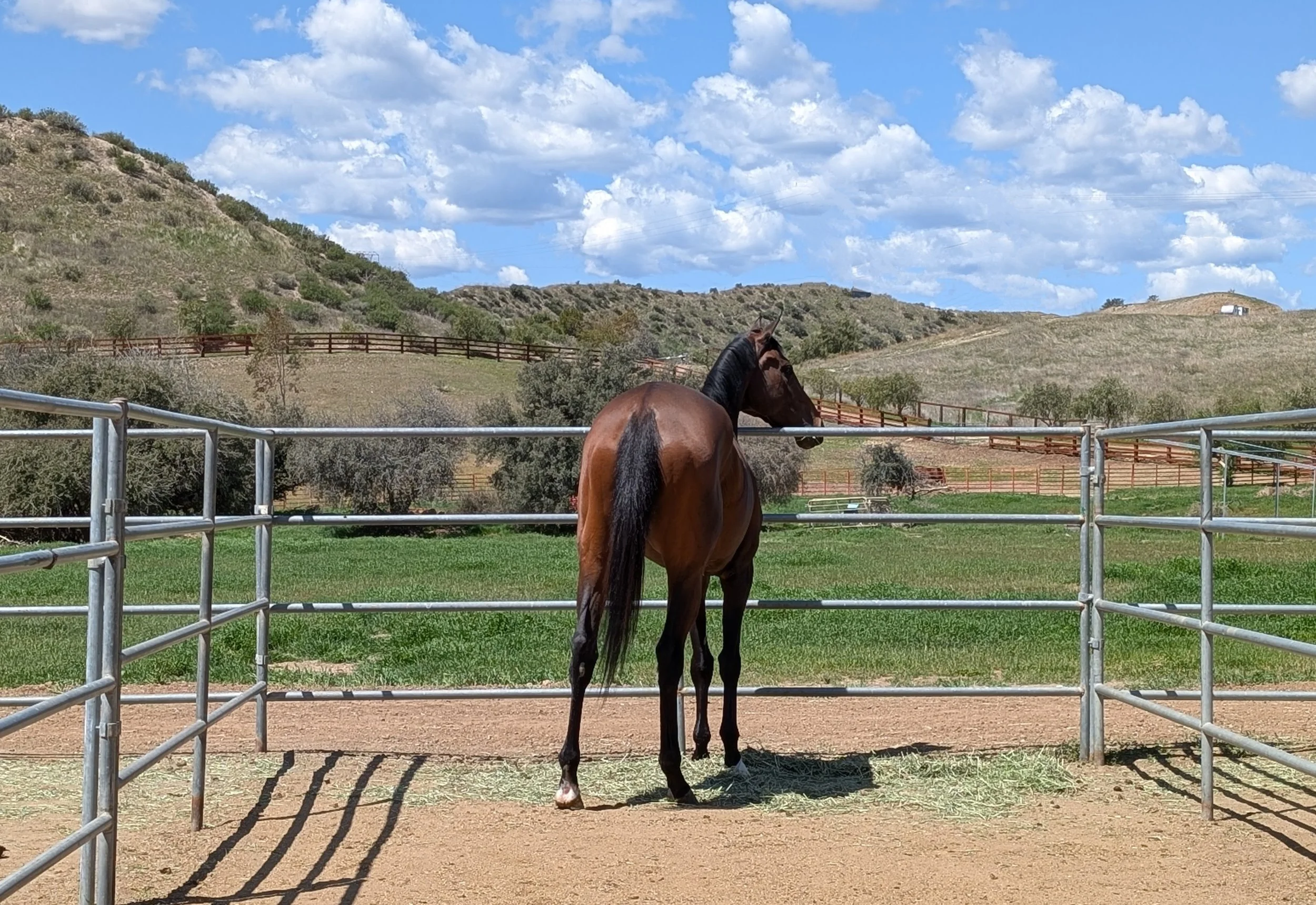 Demystify Enjoying The View.jpg